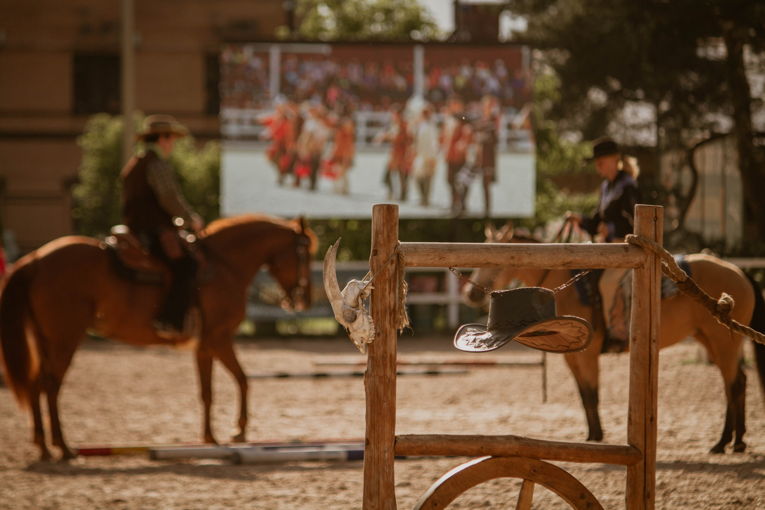 ИППОСФЕРА — Международная конная выставка. Создадим шедевр? Виталина и её фотоискусство