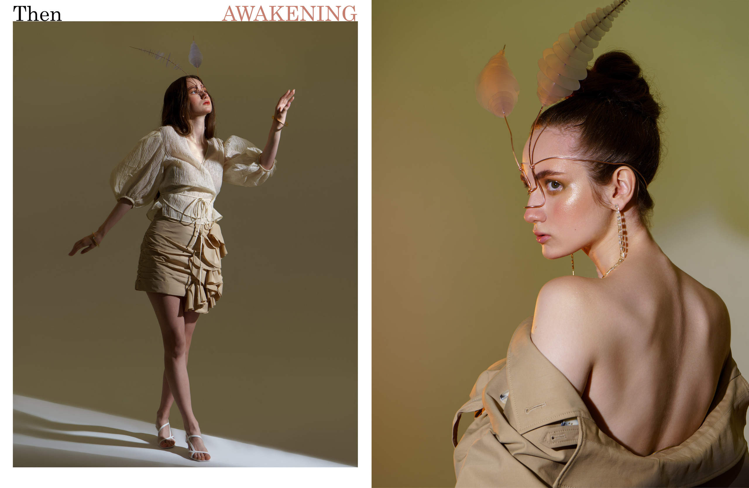 Elizabeth «The MOTH». BARVABRAR