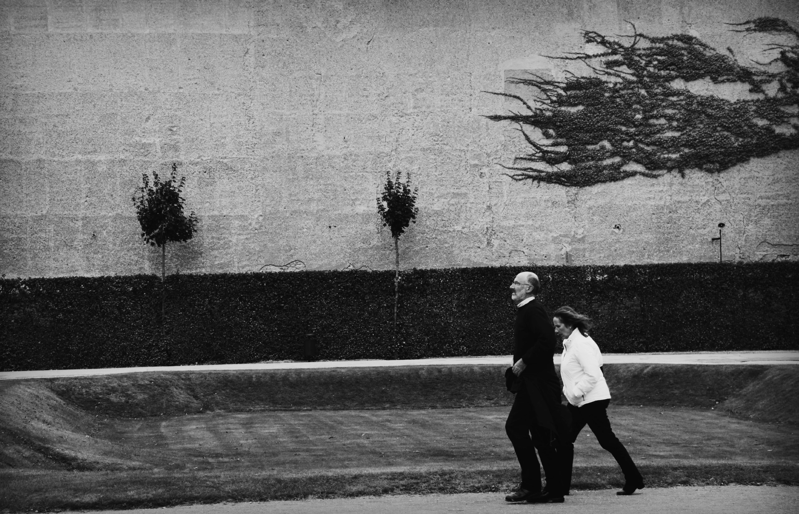 Работы. Свадебный фотограф в Москве Сафонова Анна