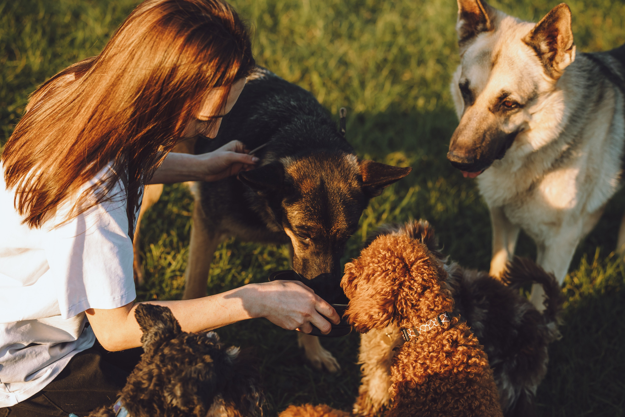 Кристина и все-все