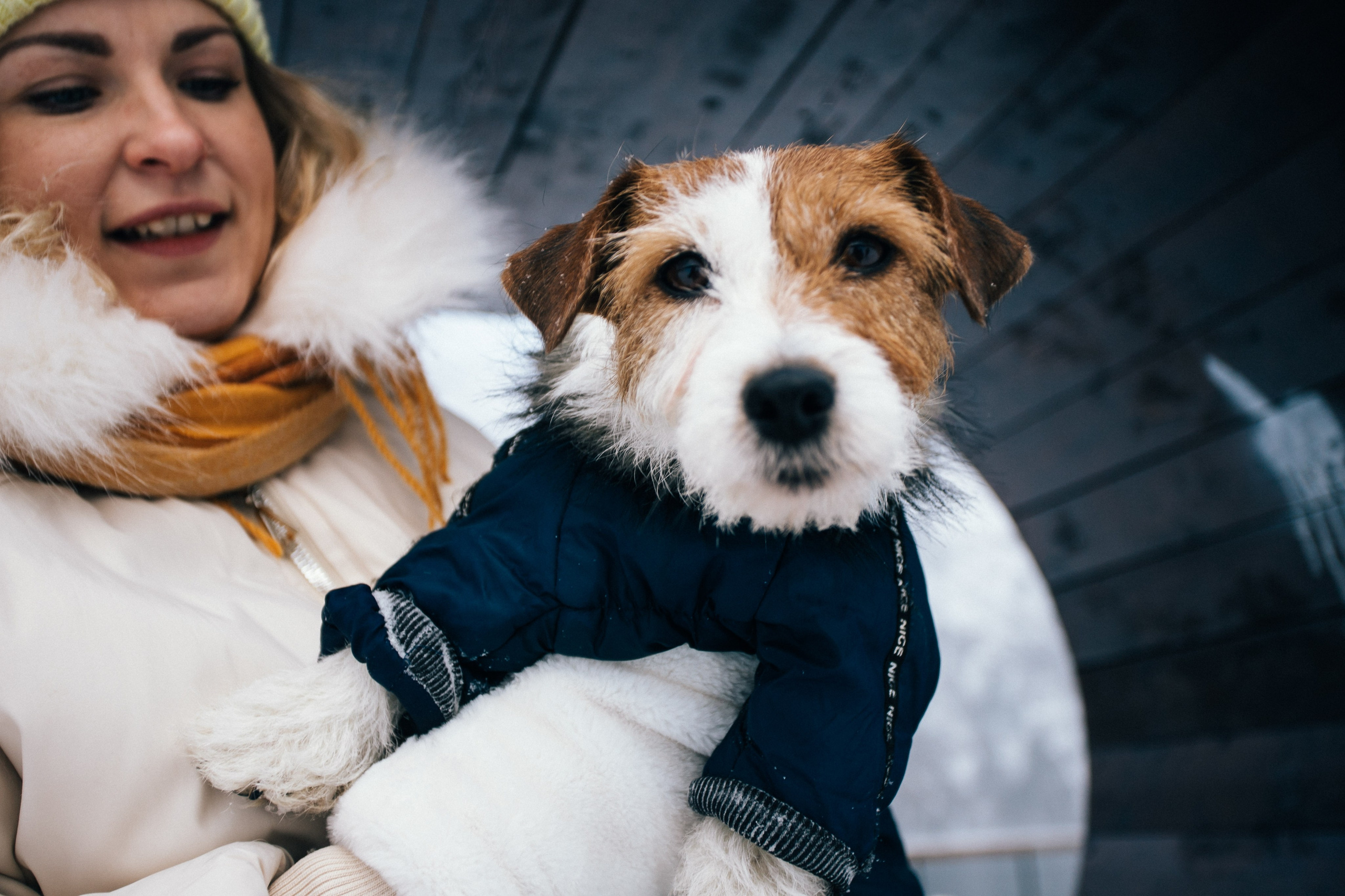 Дарья и Майла. Фотограф Дарья Локотко в Красноярске