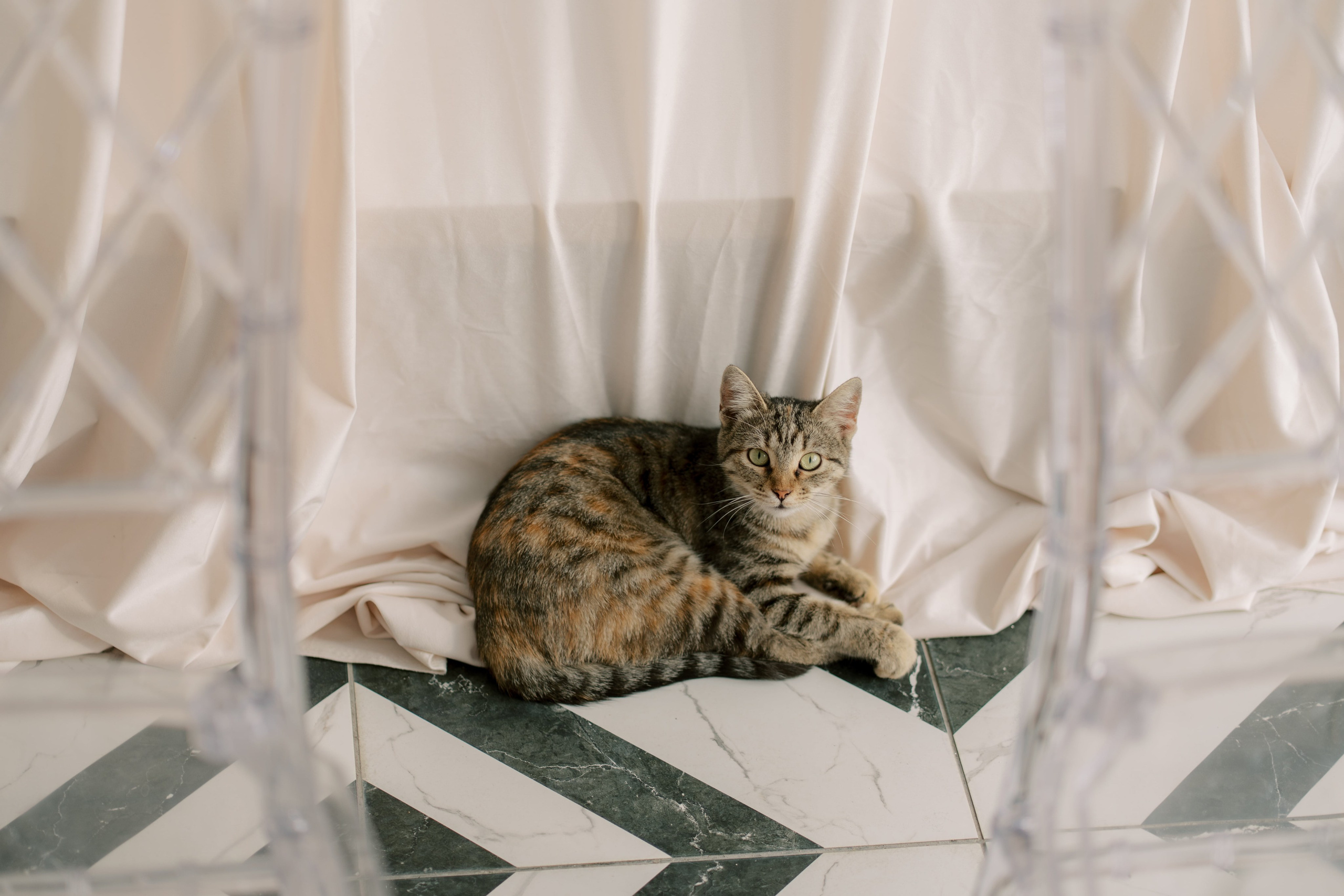 Свадьба Игоря и Юлии