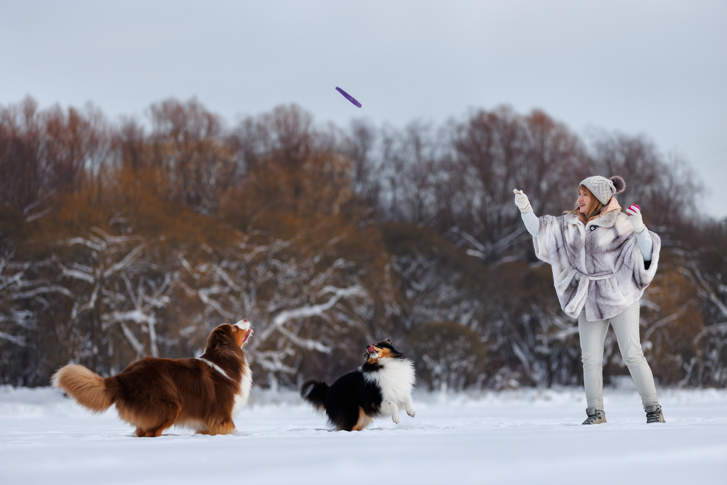 Марик и Дэн. Фотограф-анималист в Москве и Московской области Татьяна Фролова