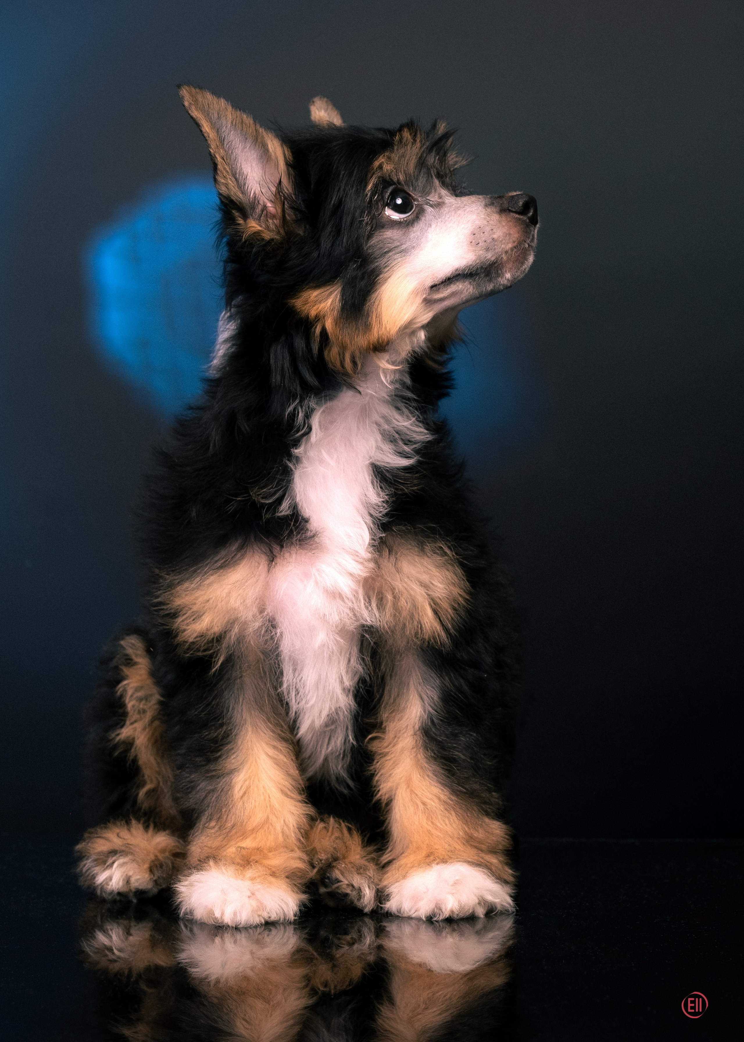 07.06.2025 Синяя фотосессия. Фотограф в Москве