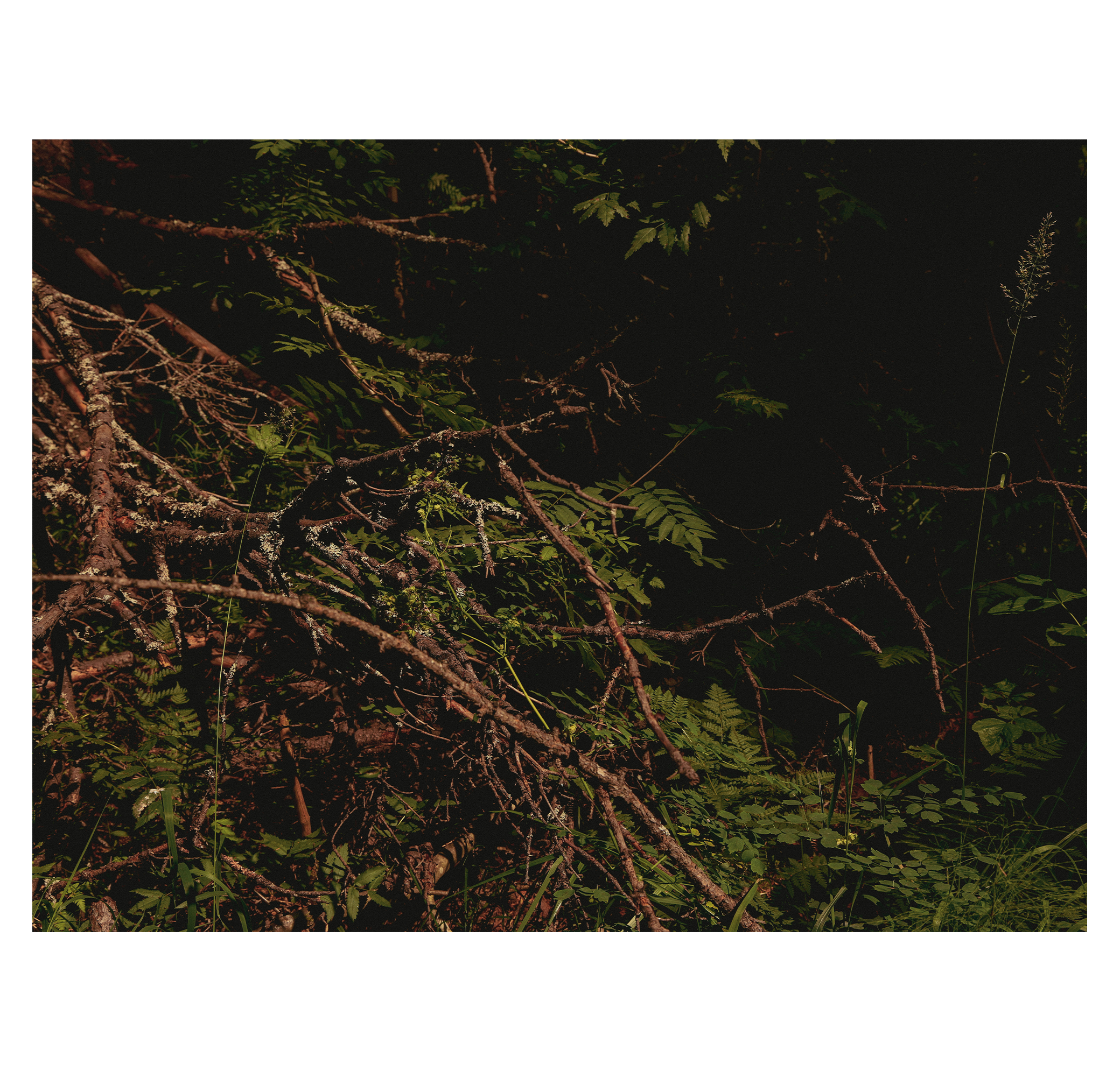 Summer hike. Фотограф/дизайнер в Екатеринбурге Хитрый Дмитрий