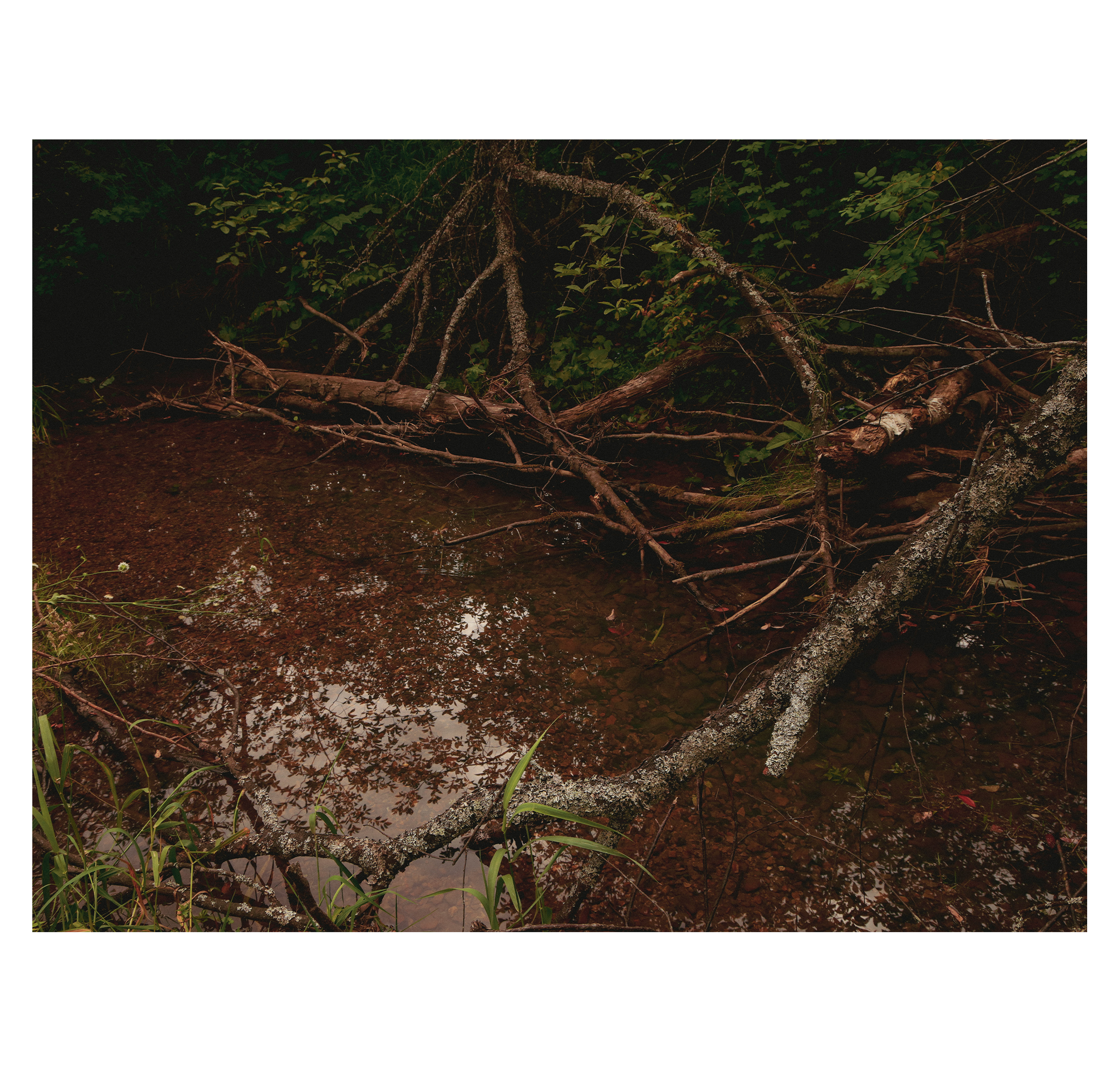 Summer hike. Фотограф/дизайнер в Екатеринбурге Хитрый Дмитрий