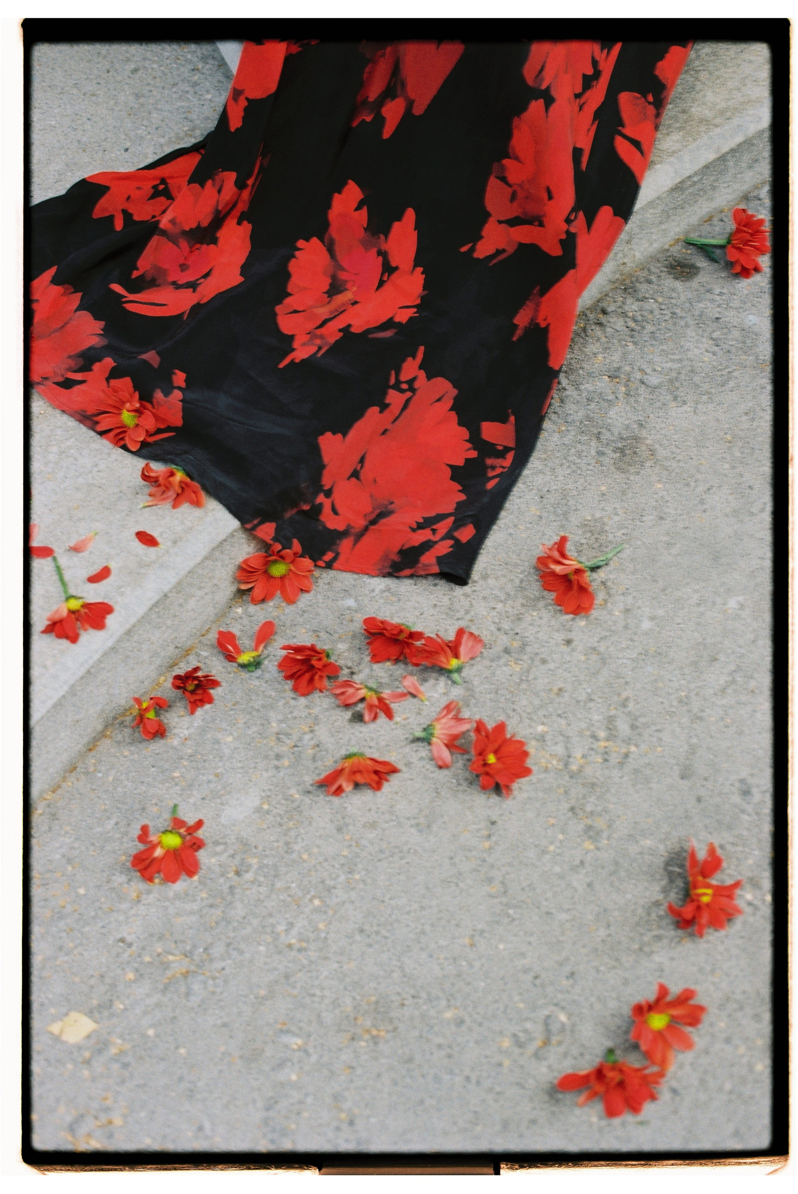 № 5. Продюсер фото и видео контента