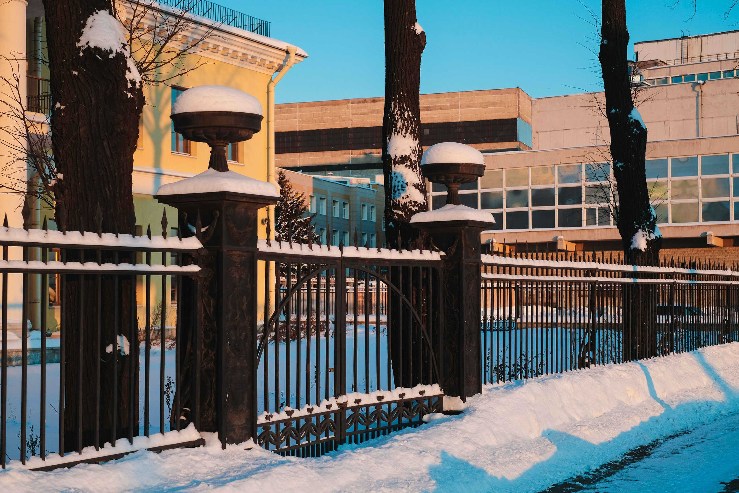 2021.12. Фотограф Алексей Алексеев