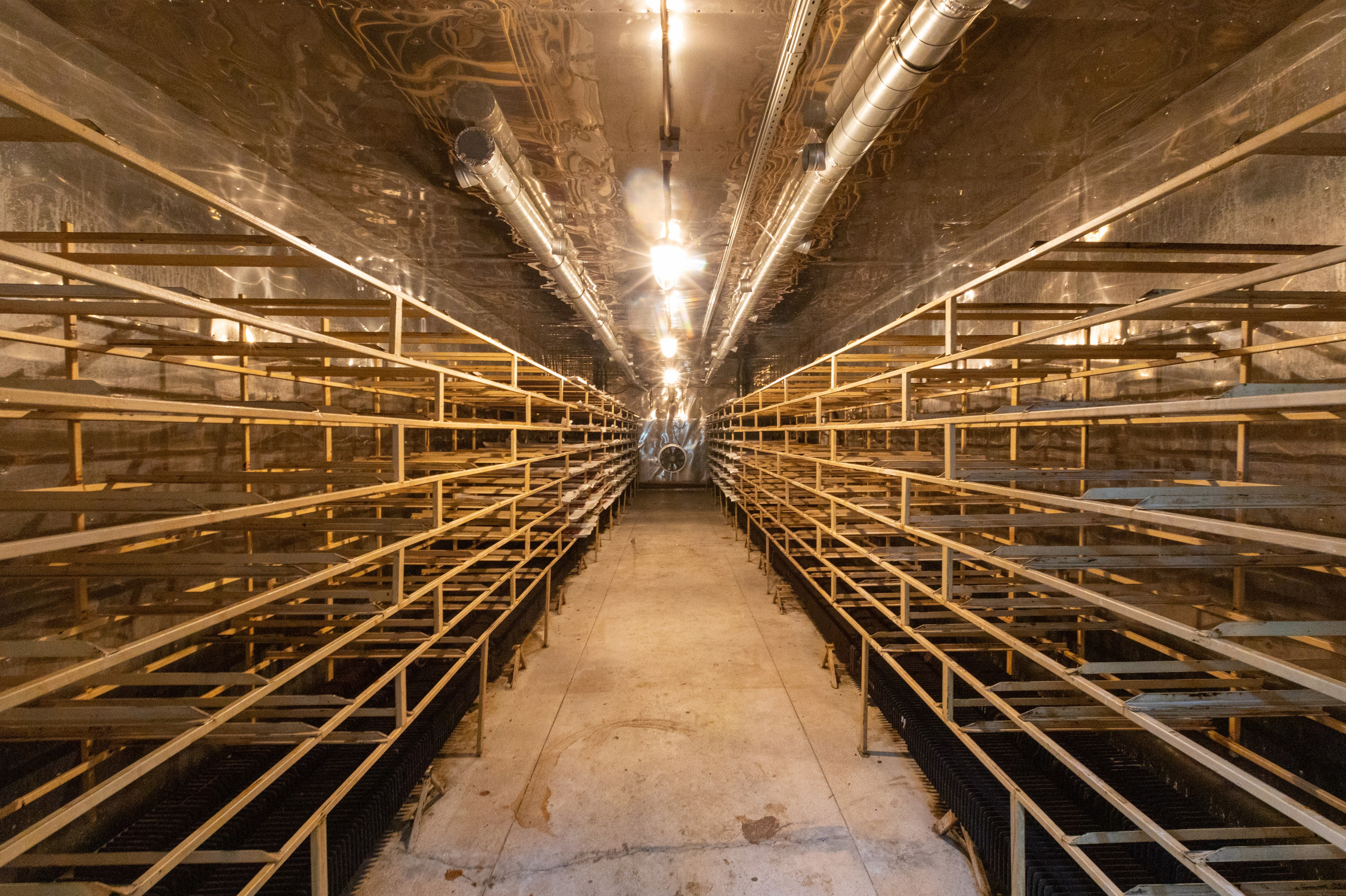 Поездка в Белев и на производство пастилы. Фотограф в Туле Крупский АнДРей. Фотостудия «КАДР71» в Туле
