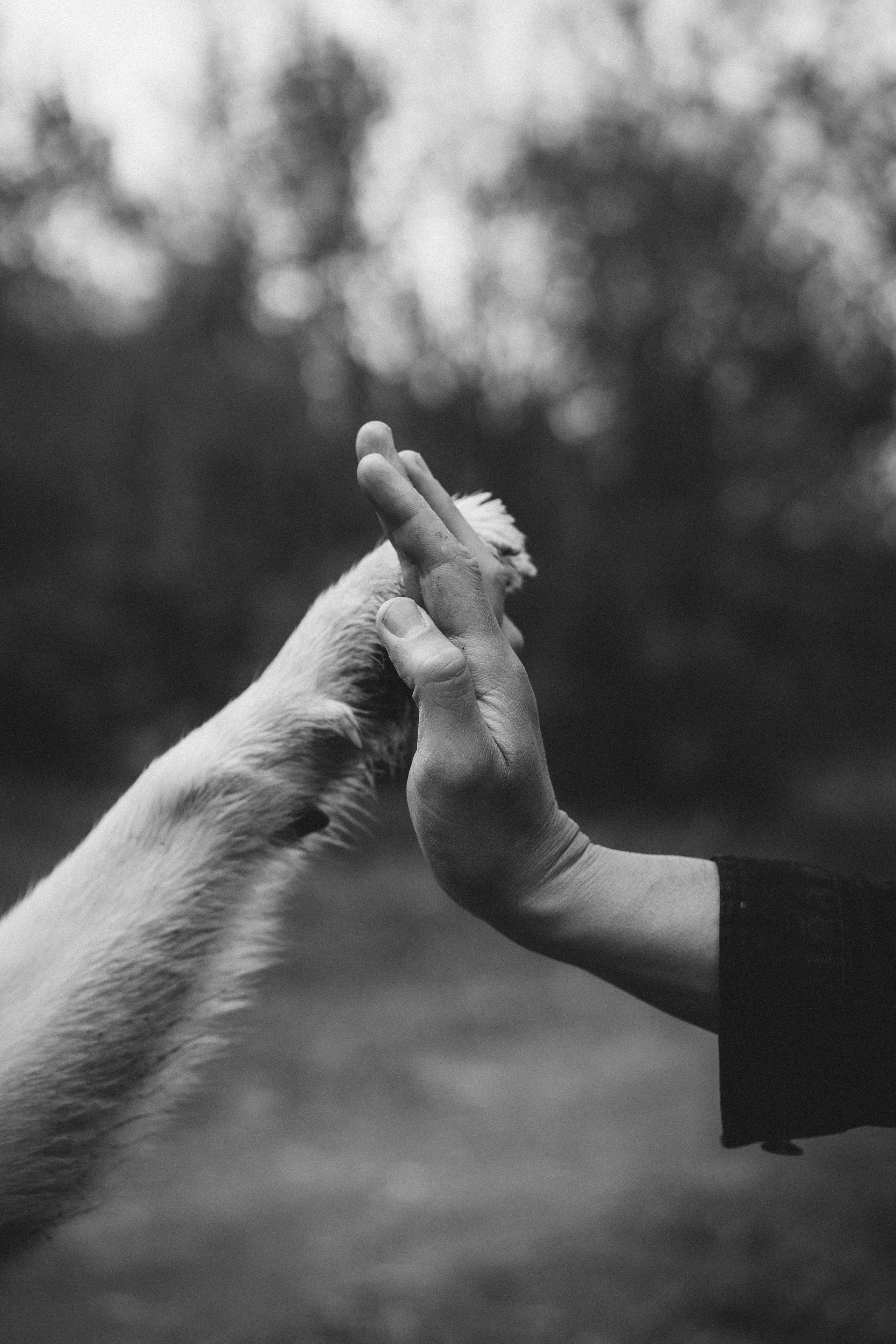 Света и Лёня. Дмитриева Светлана женский и семейный фотограф Рига, Москва, Геленджик