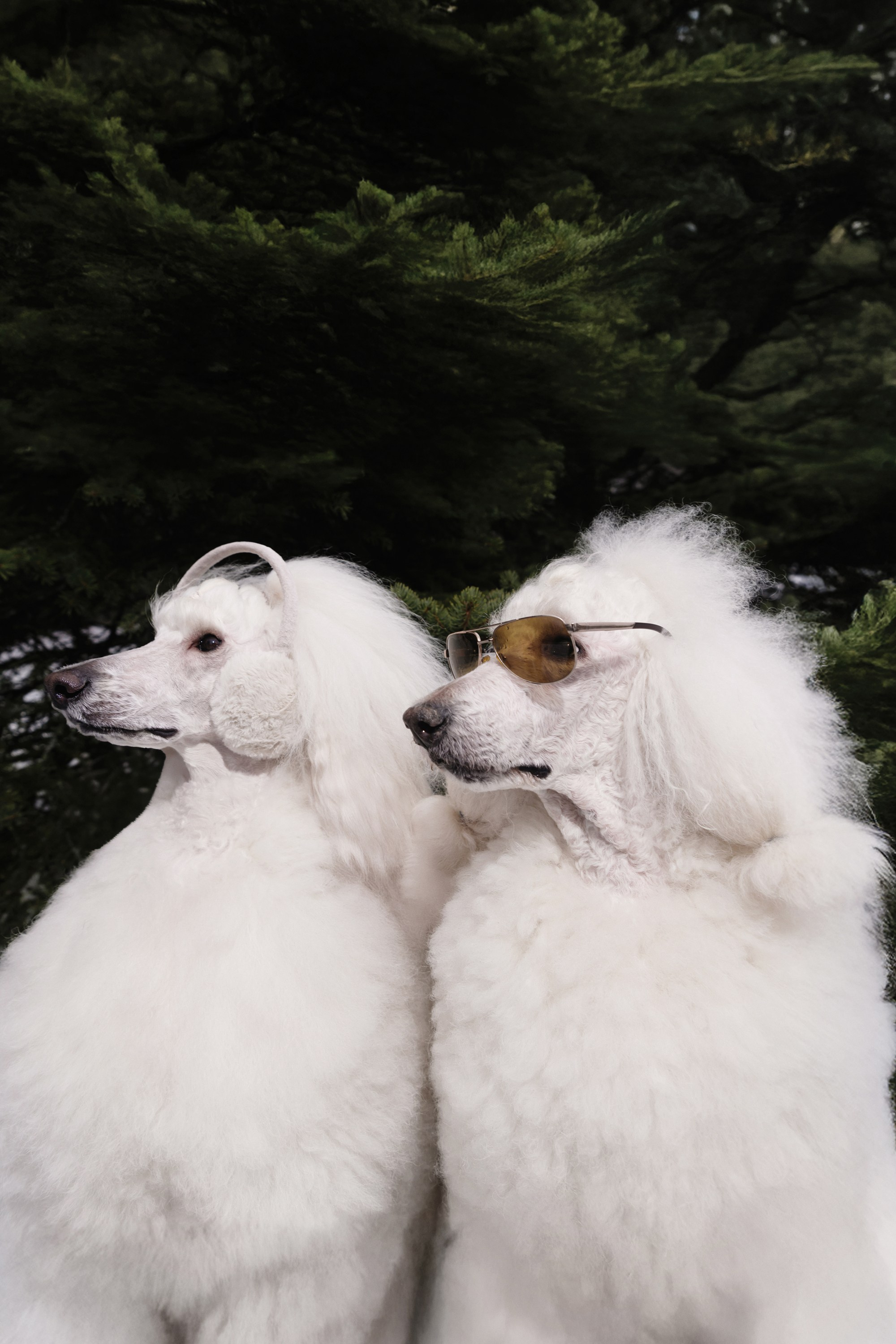 ZIMA. Фотограф Александр Захар. Минск, Москва, Дубай