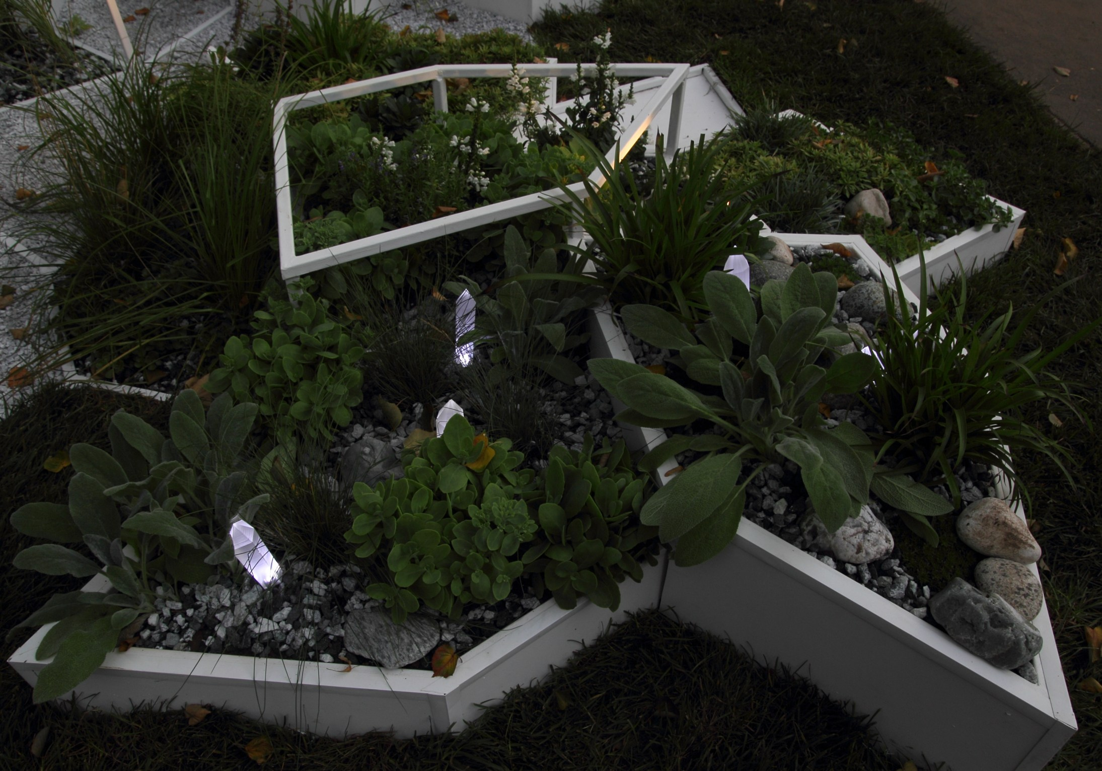 Декоративный ландшафтный свет TEMPARIUM. Фотограф Наталья Молчанова