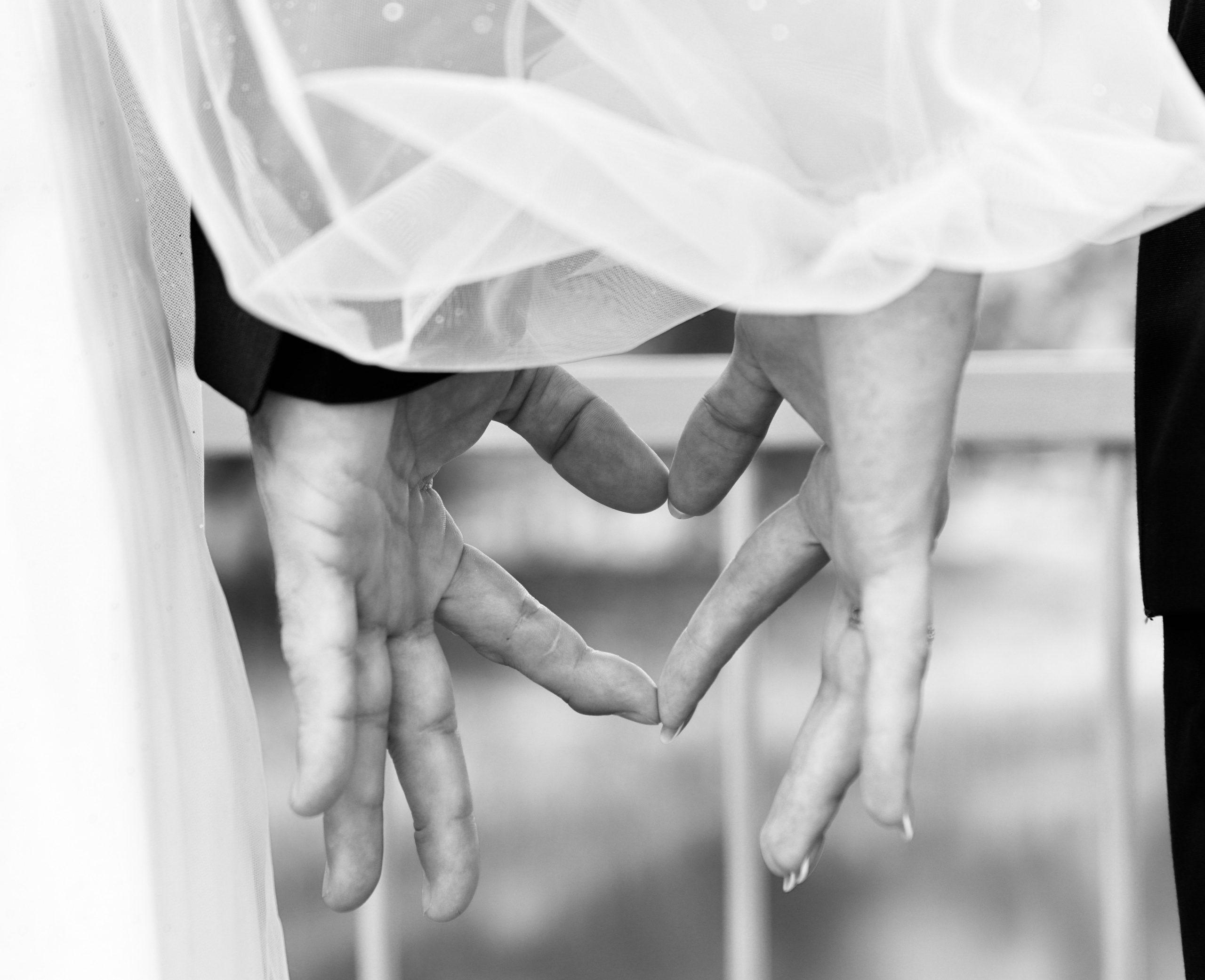 Елизавета и Михаил. Фотограф в Курске Смирнов Евгений