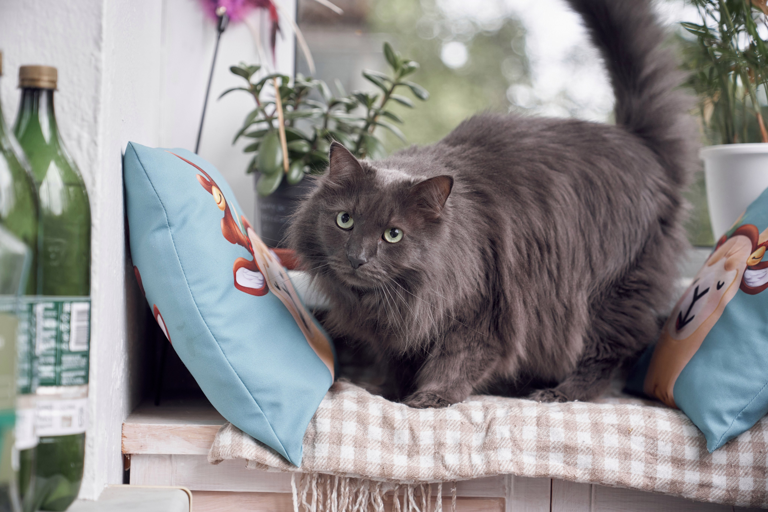 Свадьба Ильи и Влады, ЗАГС в Крокус, прогулка в Архангельское