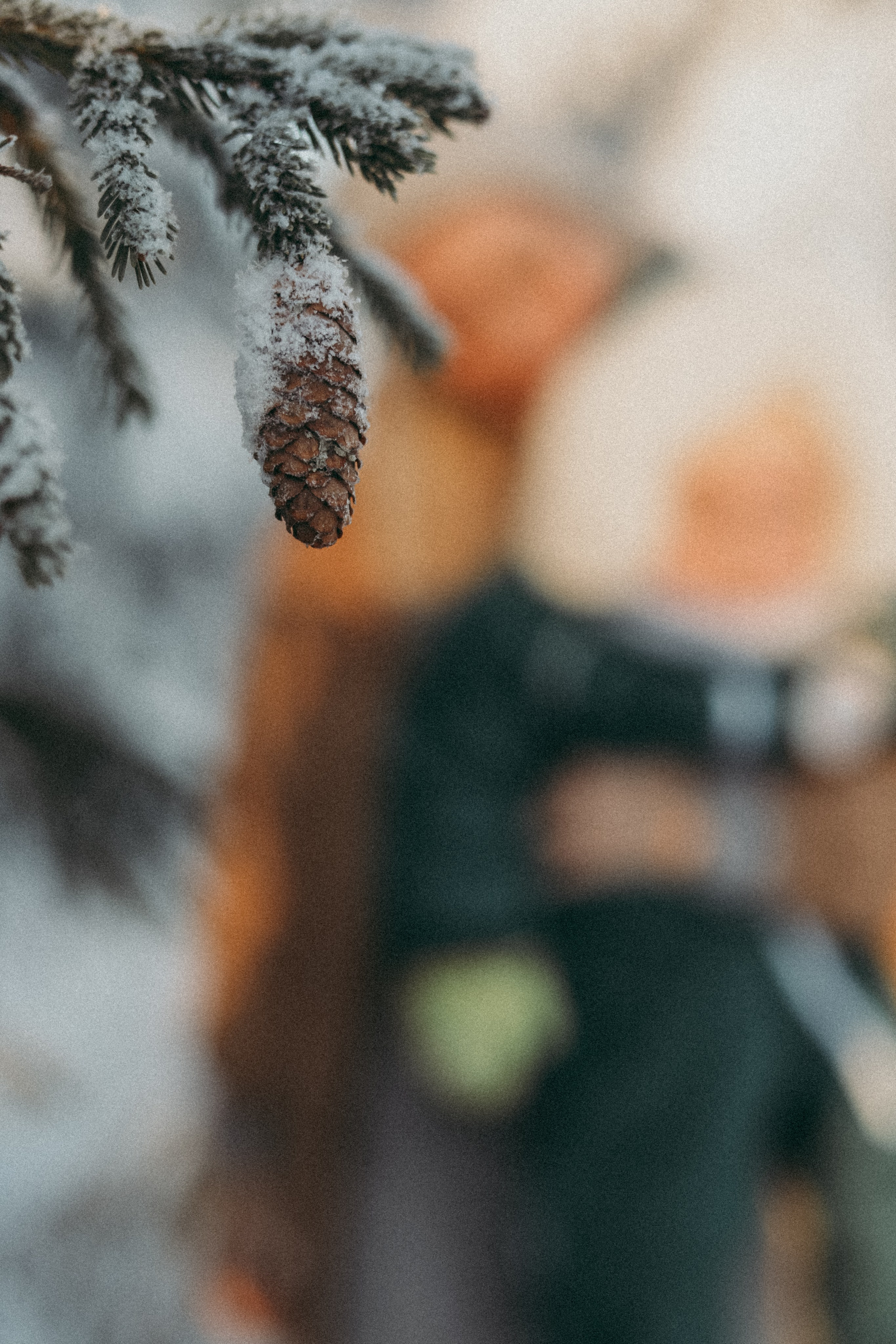 Инна и Вера. Фотограф Москва и Санкт-Петербург