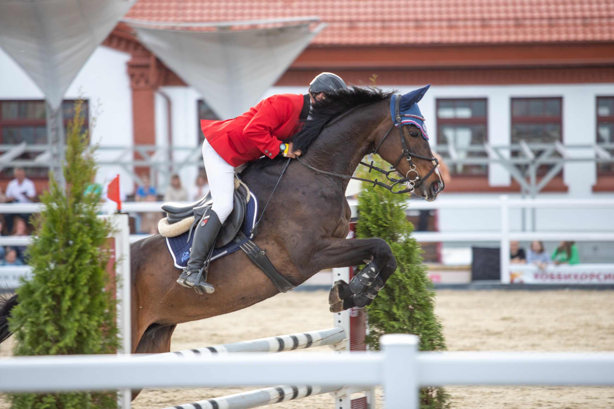 Соревнования. Фотосессии с лошадьми в Москве и МО
