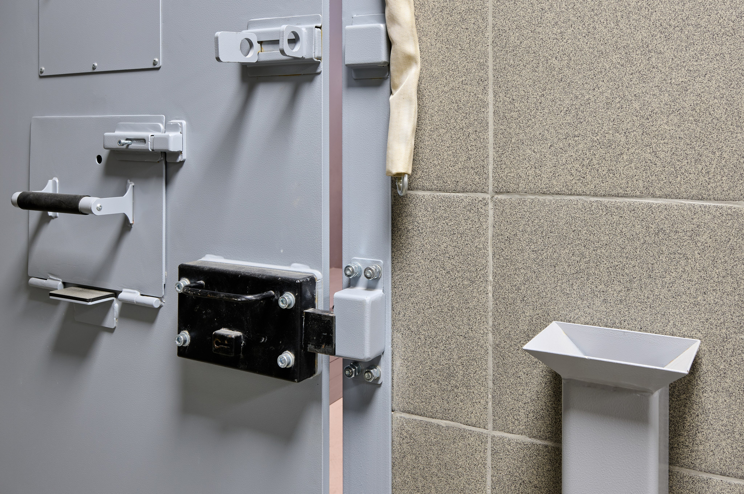 Запорные элементы и петли на усиленной двери, крупный план