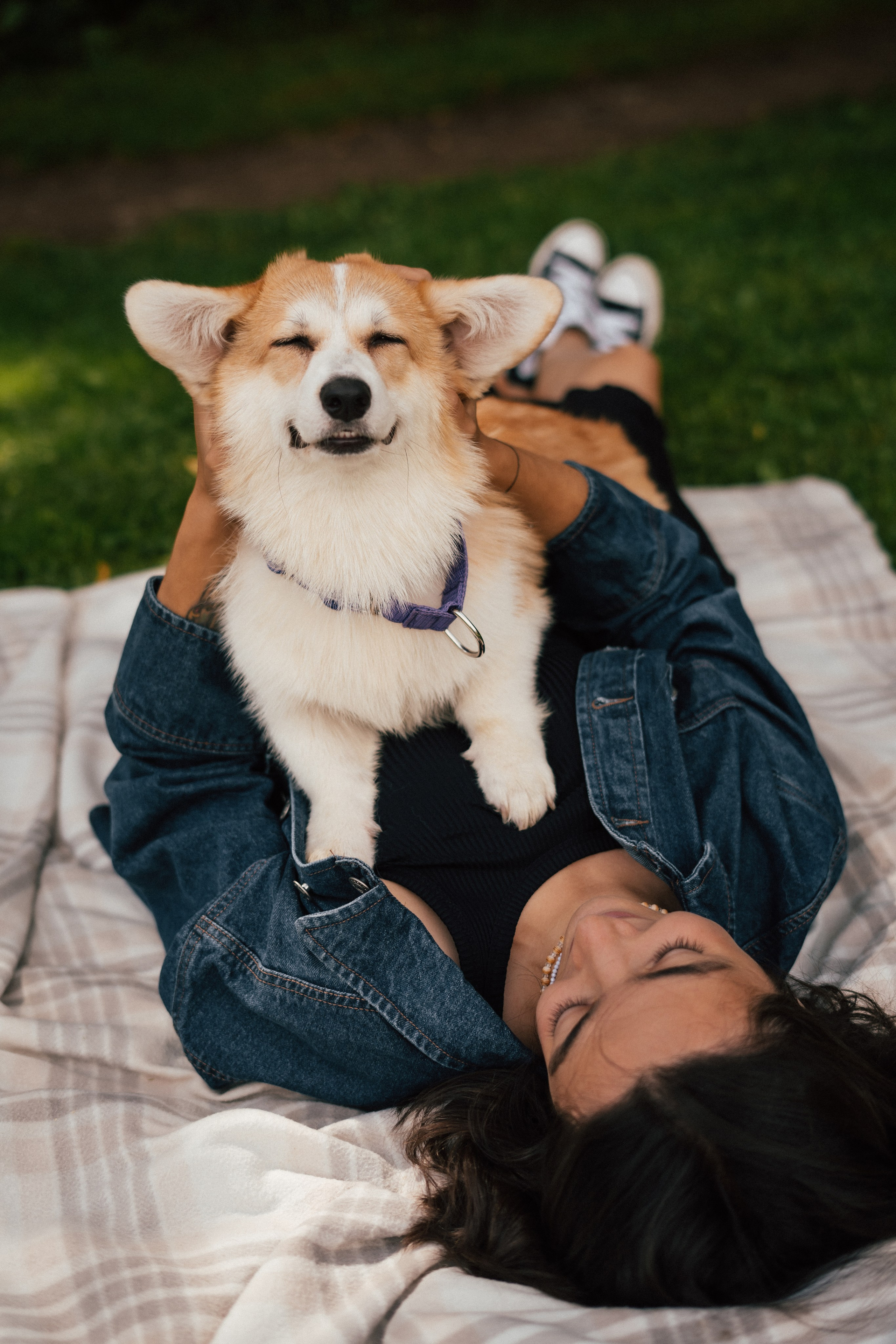 Фотосессия с собакой сахалин. Фотограф сахалин