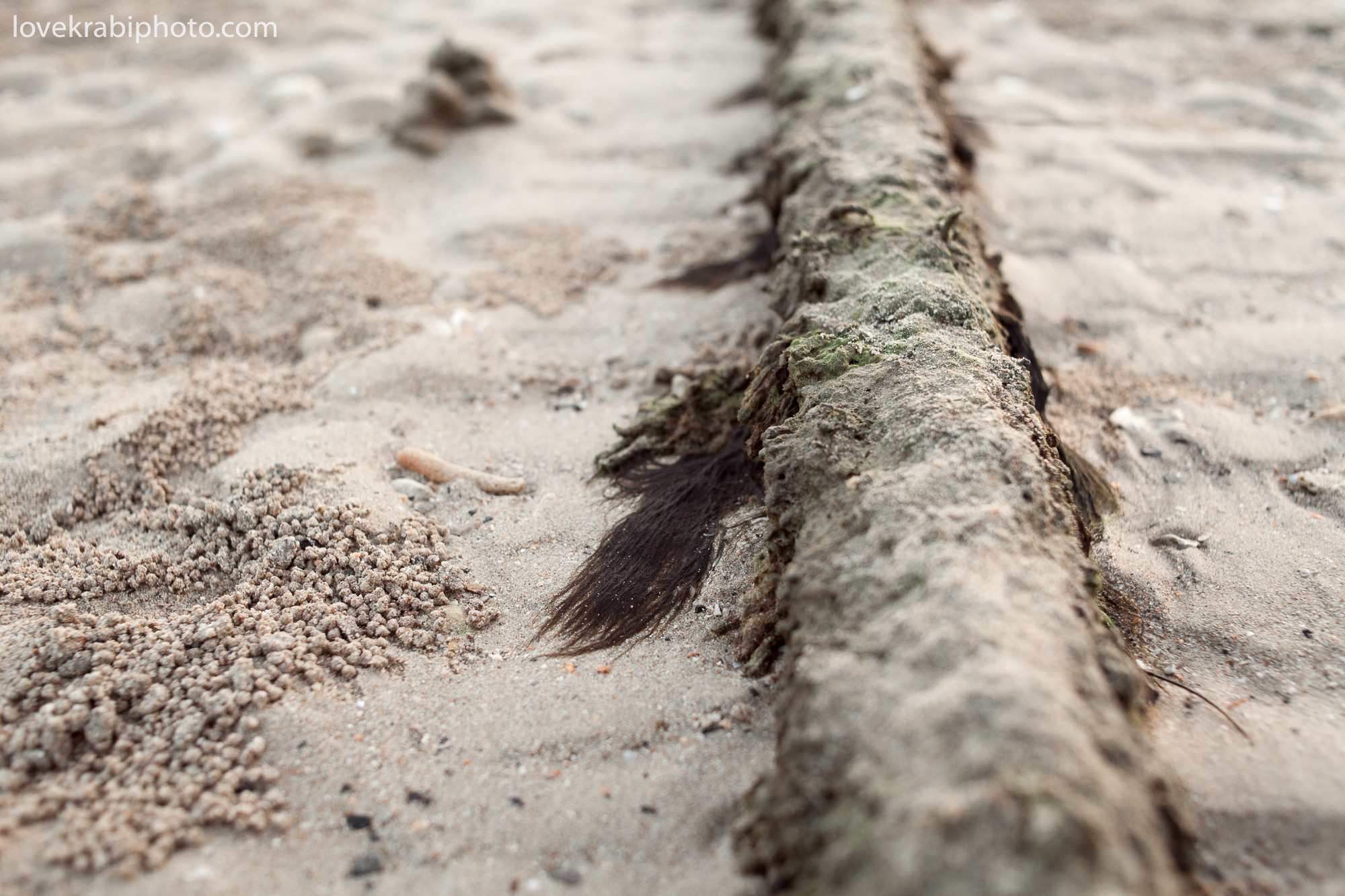 Art Session Feel the World. Photography & Events Thailand Krabi