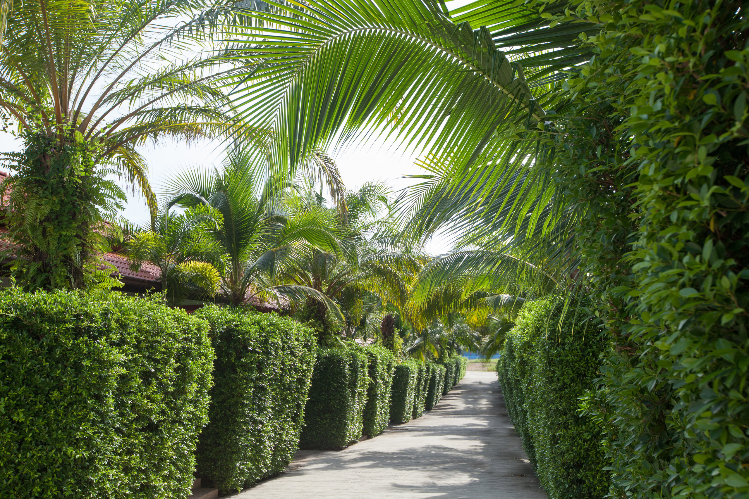 Hotel Resort Villa Interior Photography. Photography & Events Thailand Krabi