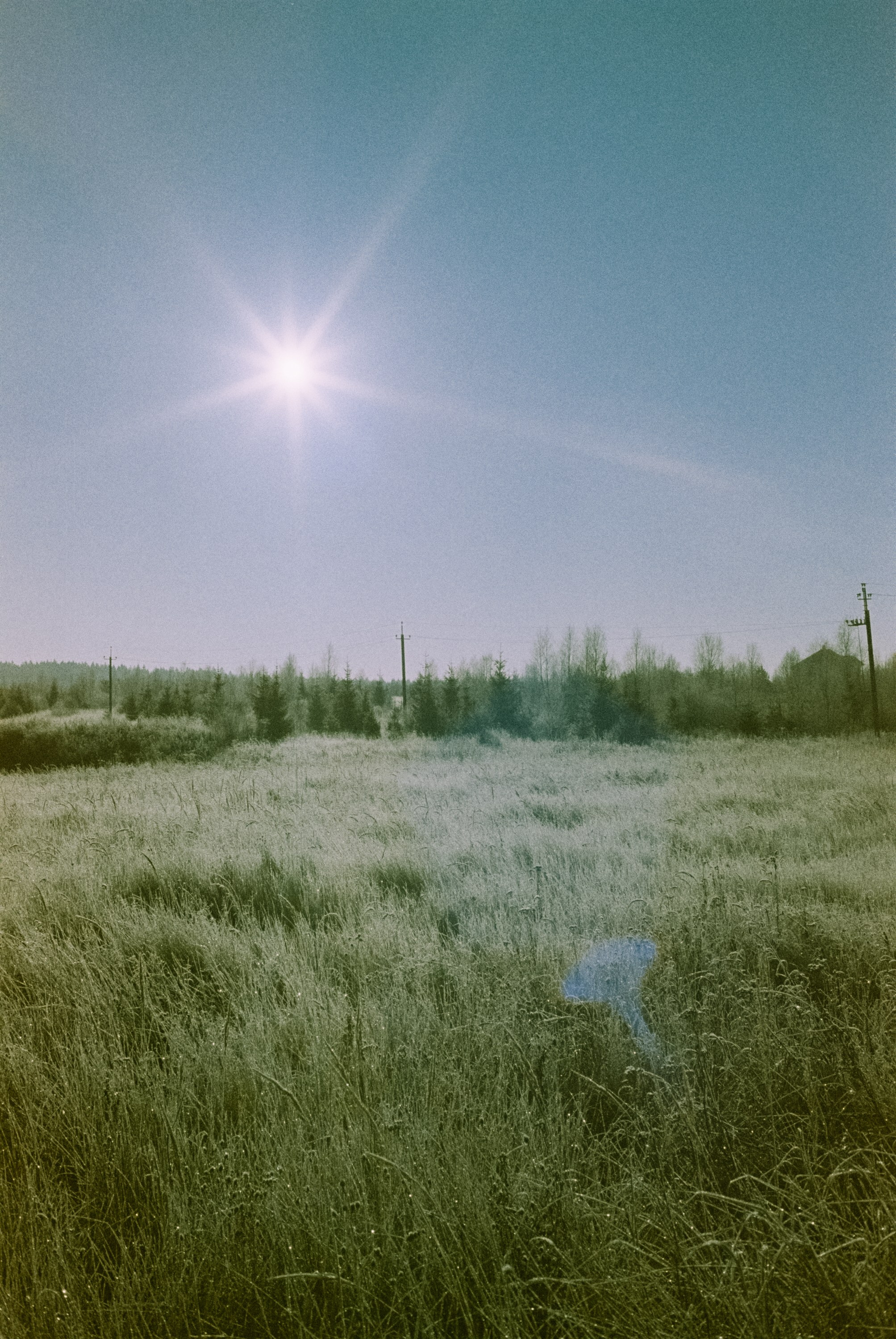 Minolta Hi-Matic 7sII / Kodak Color 200 (просрочка) / Лукино