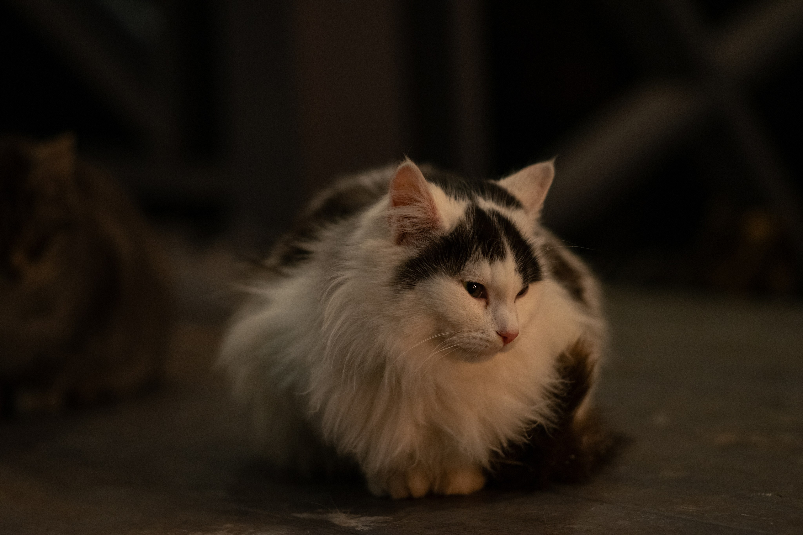 Примеры фотографий SMC Pentax 67 105mm f2.4 через переходник на Sony A7