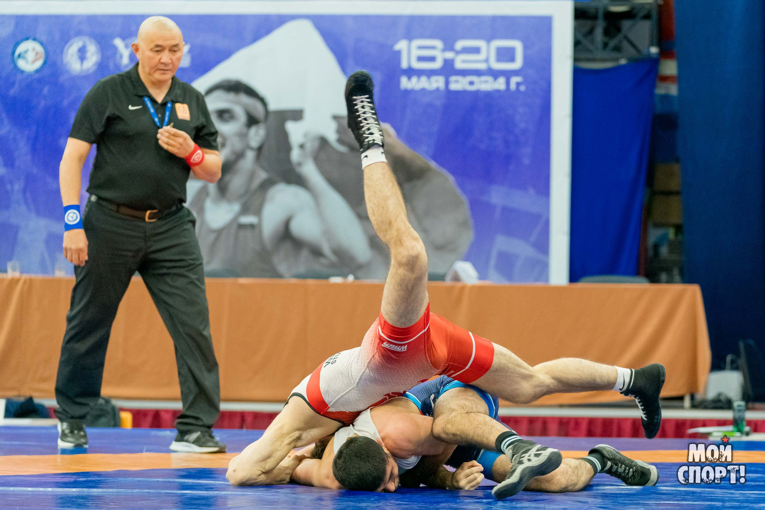 Чемпионат России среди студентов по спортивной борьбе 2024. ГРБ. Студия «Мой Спорт!» — все о спорте в Якутии
