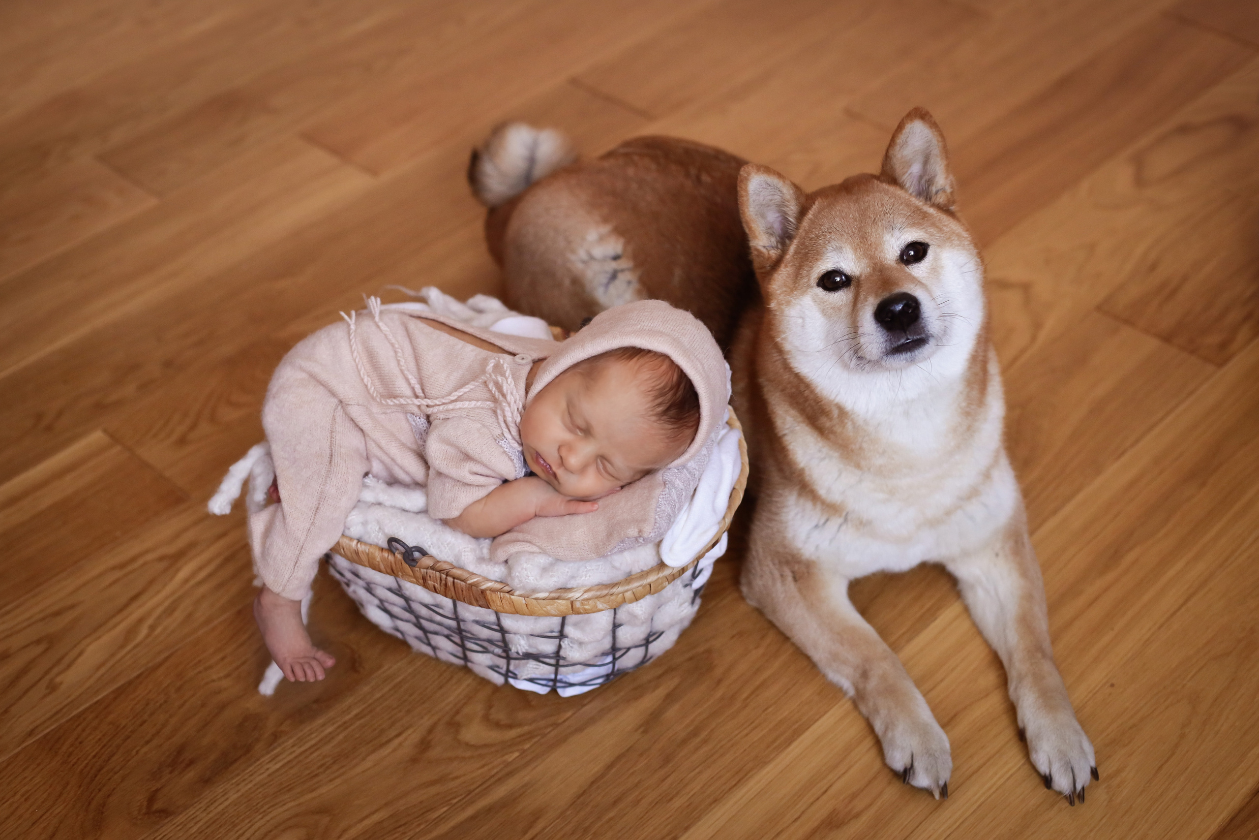 Валерия 14 дней. Семейный фотограф и фотограф новорожденных в Санкт-Петербурге Алина Фе