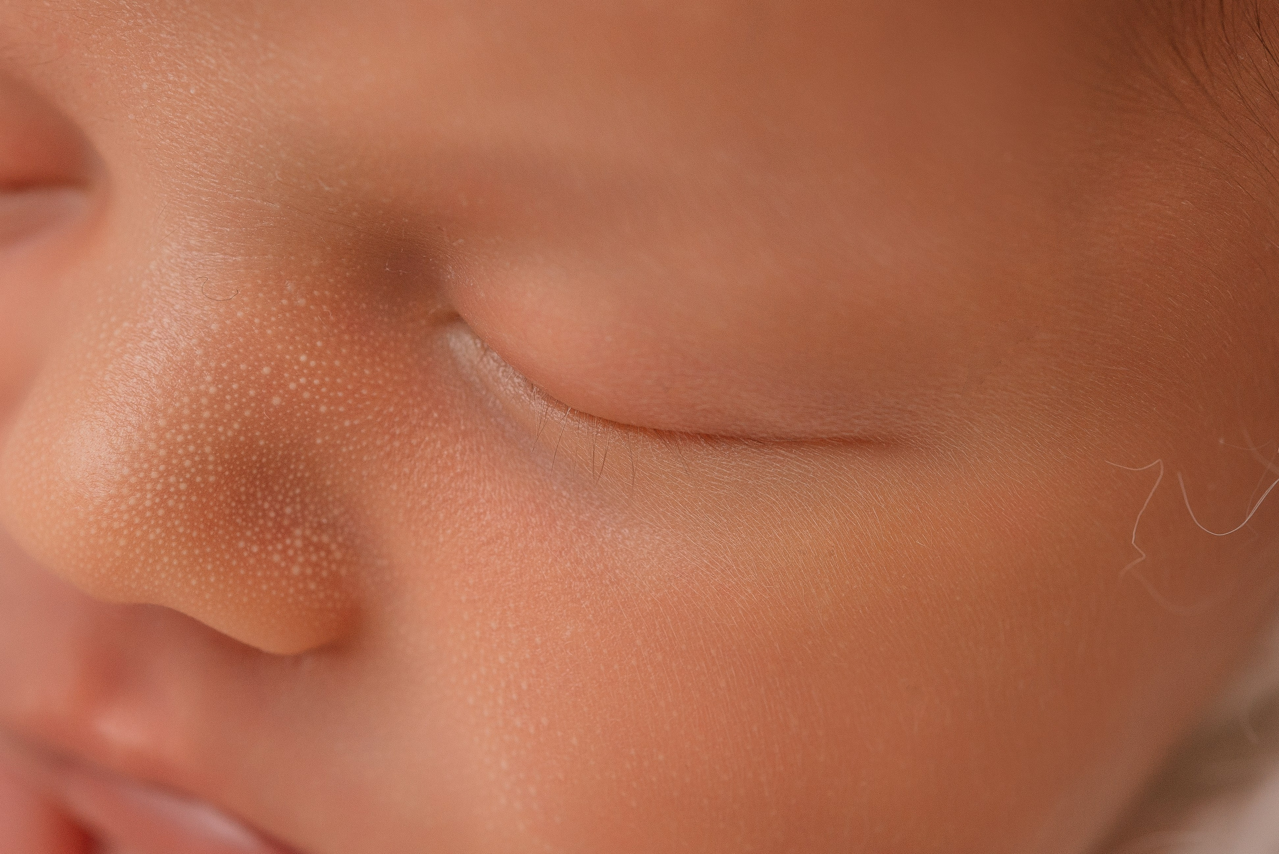 София. Фотограф новорожденных Белгород