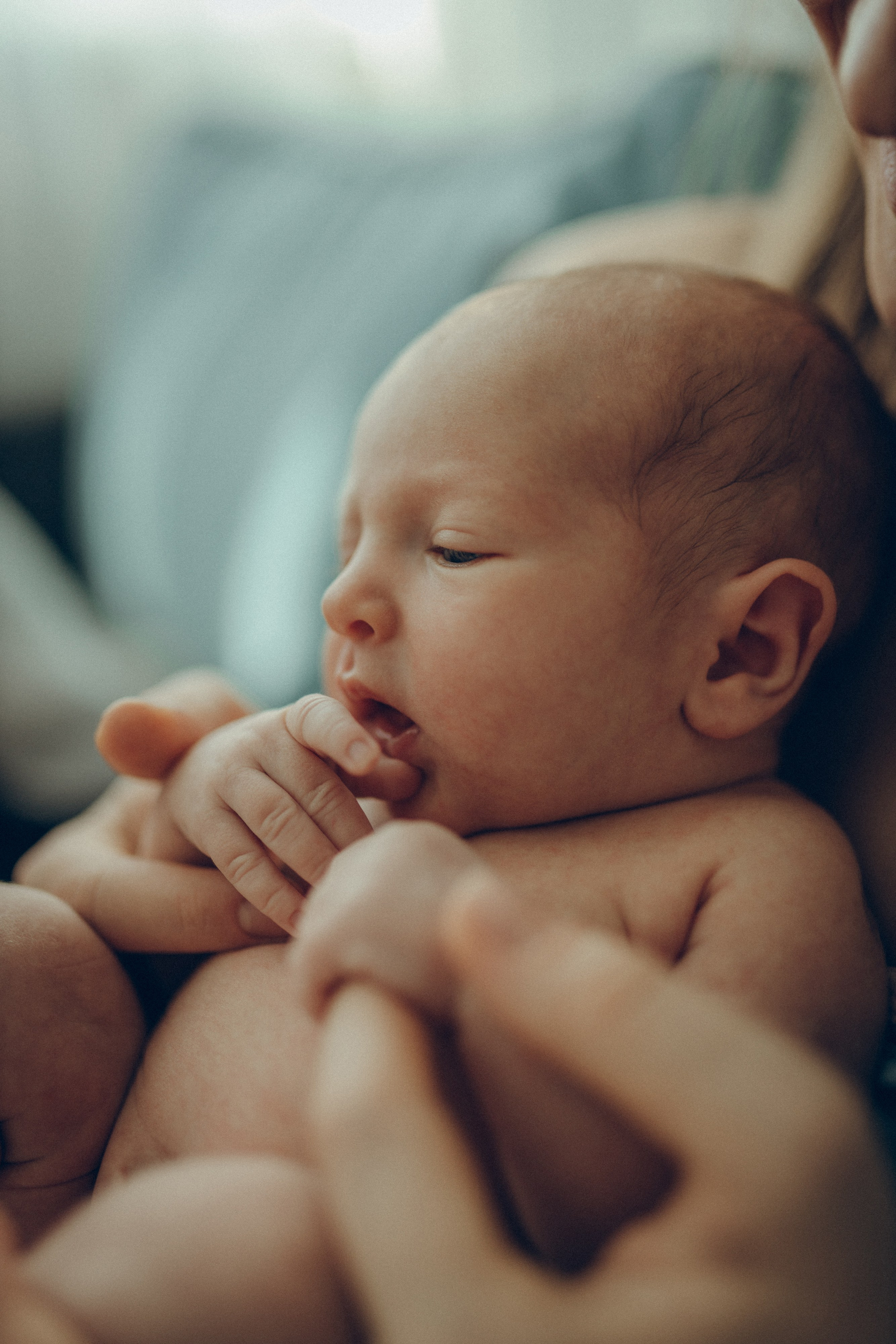 Рита, Коля и Василиса. Семейный фотограф и фотограф на роды в Ростове-на-Дону Мухина Виктория