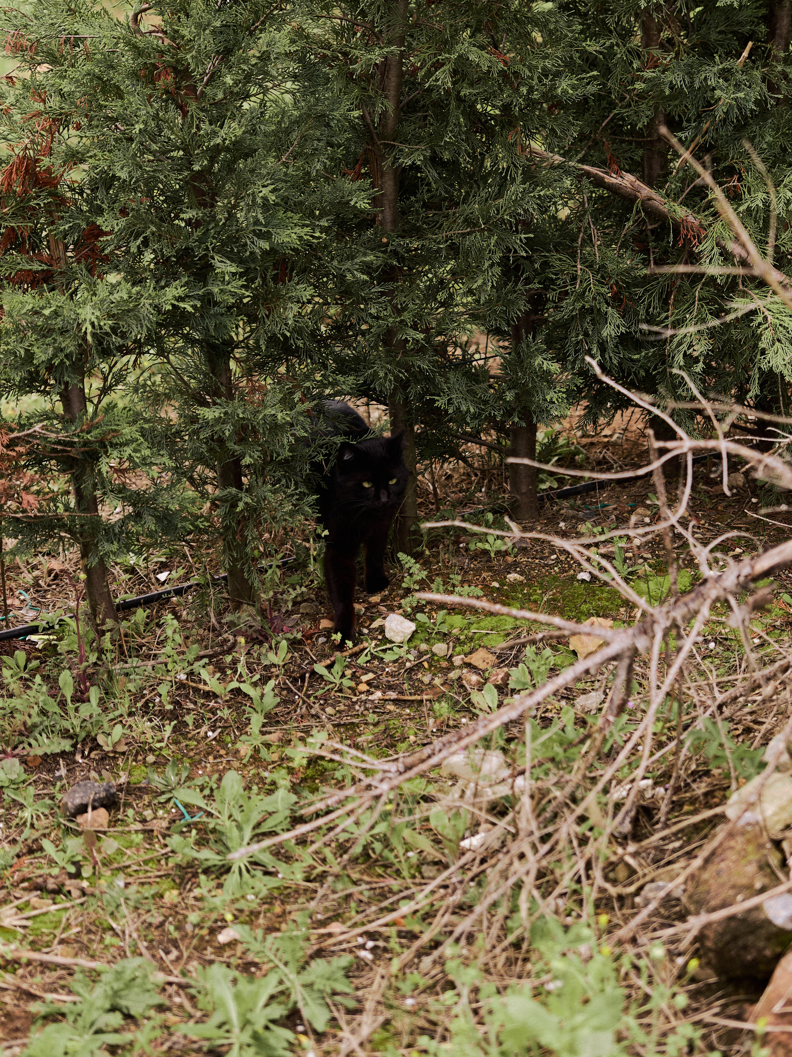 Диптих. Jorgis — фотограф в Хургаде / обучение фотографии