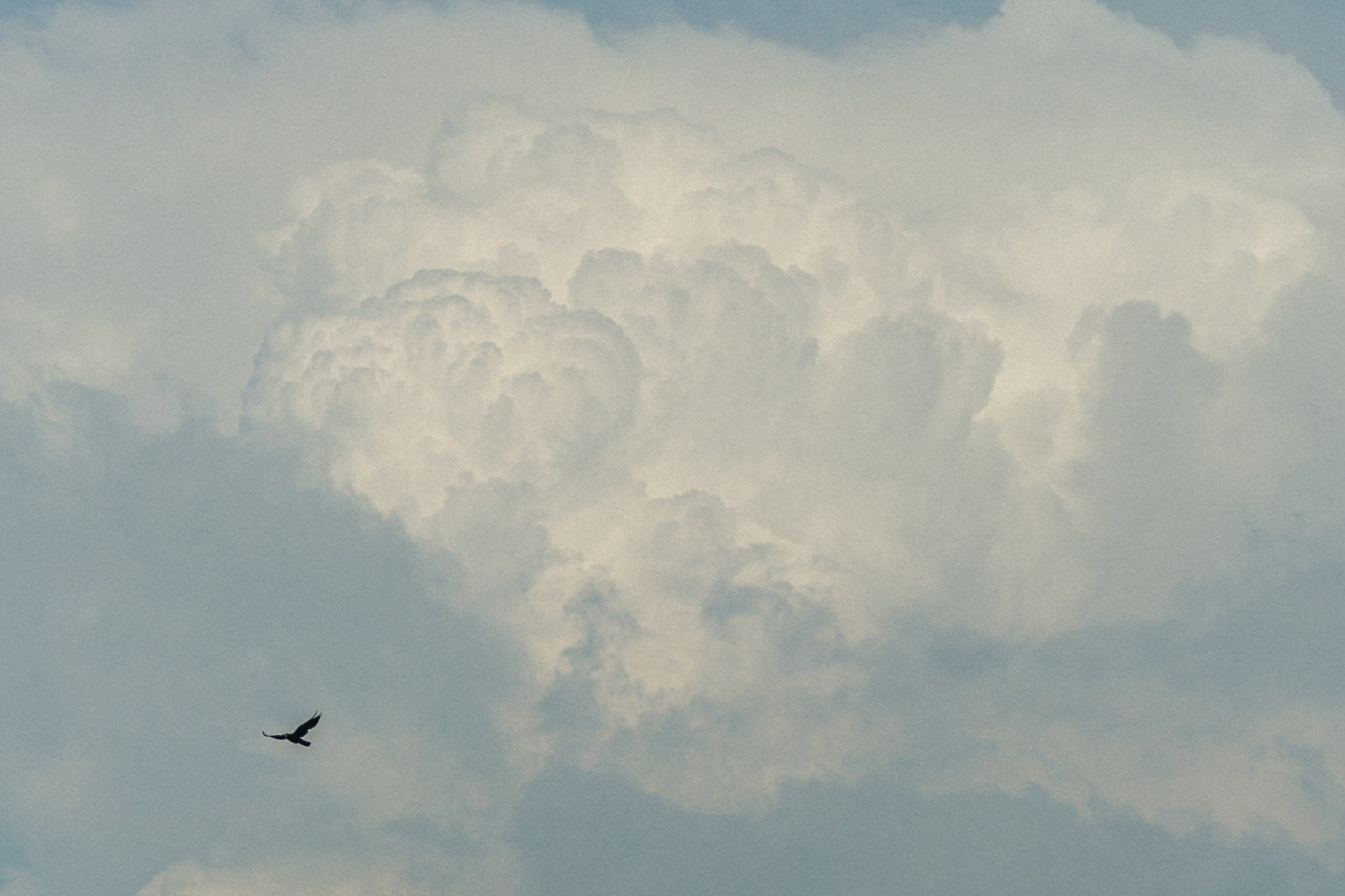 Егор+Вика. Свадебный и репортажный фотограф Александр Родин
