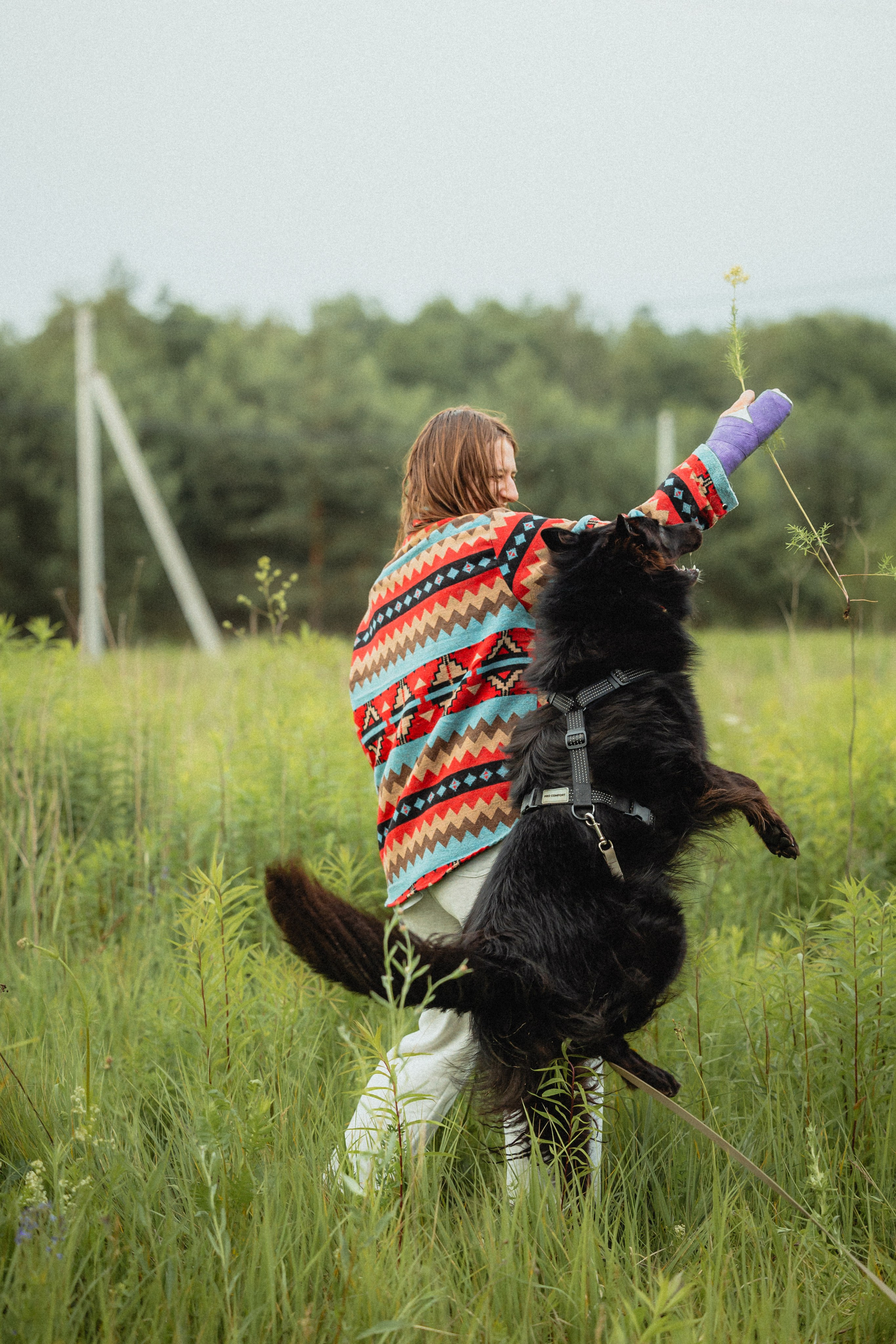 Выездной дог-тренинг от школы «Шерсть имею»