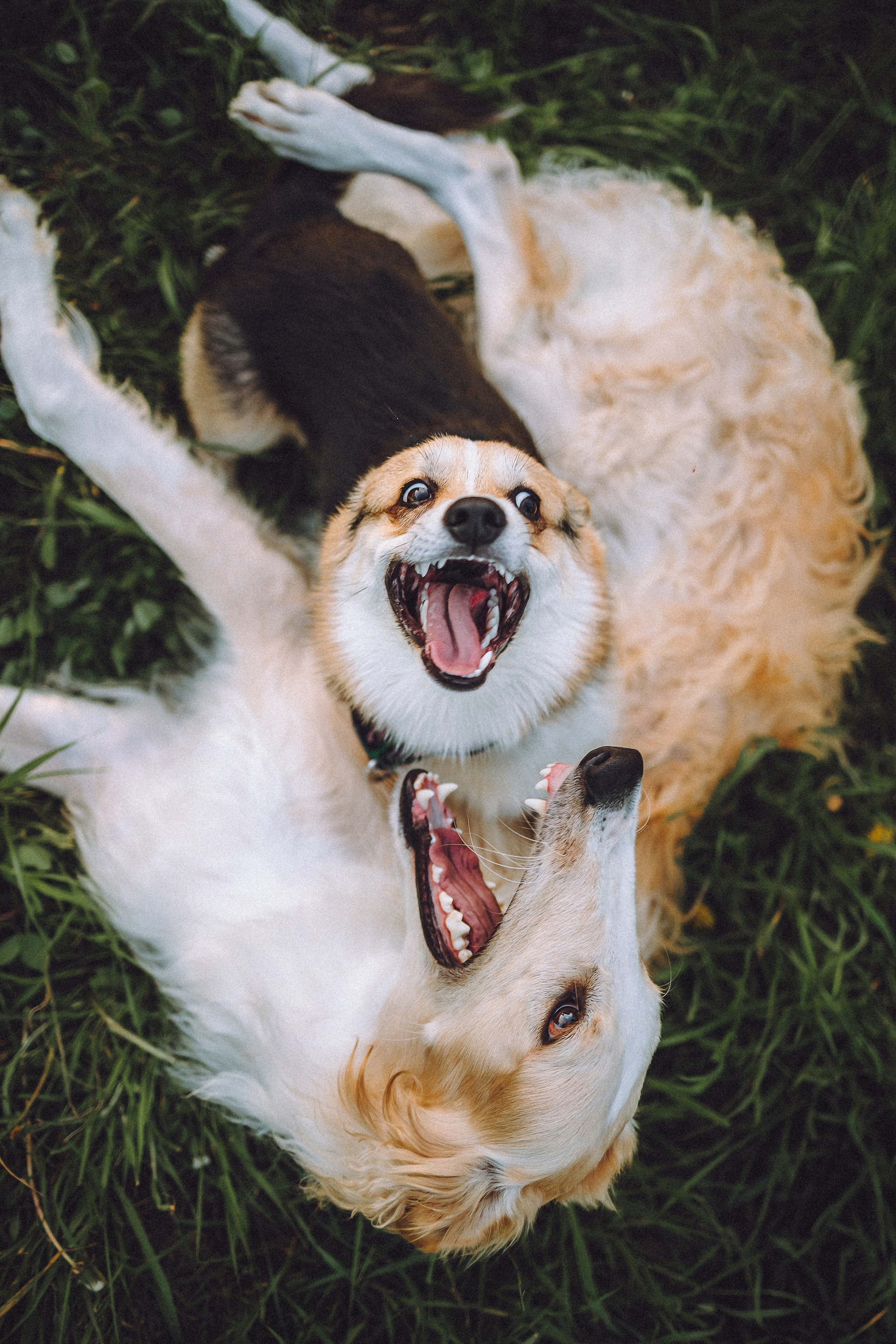 Илай, Зайка и их семья