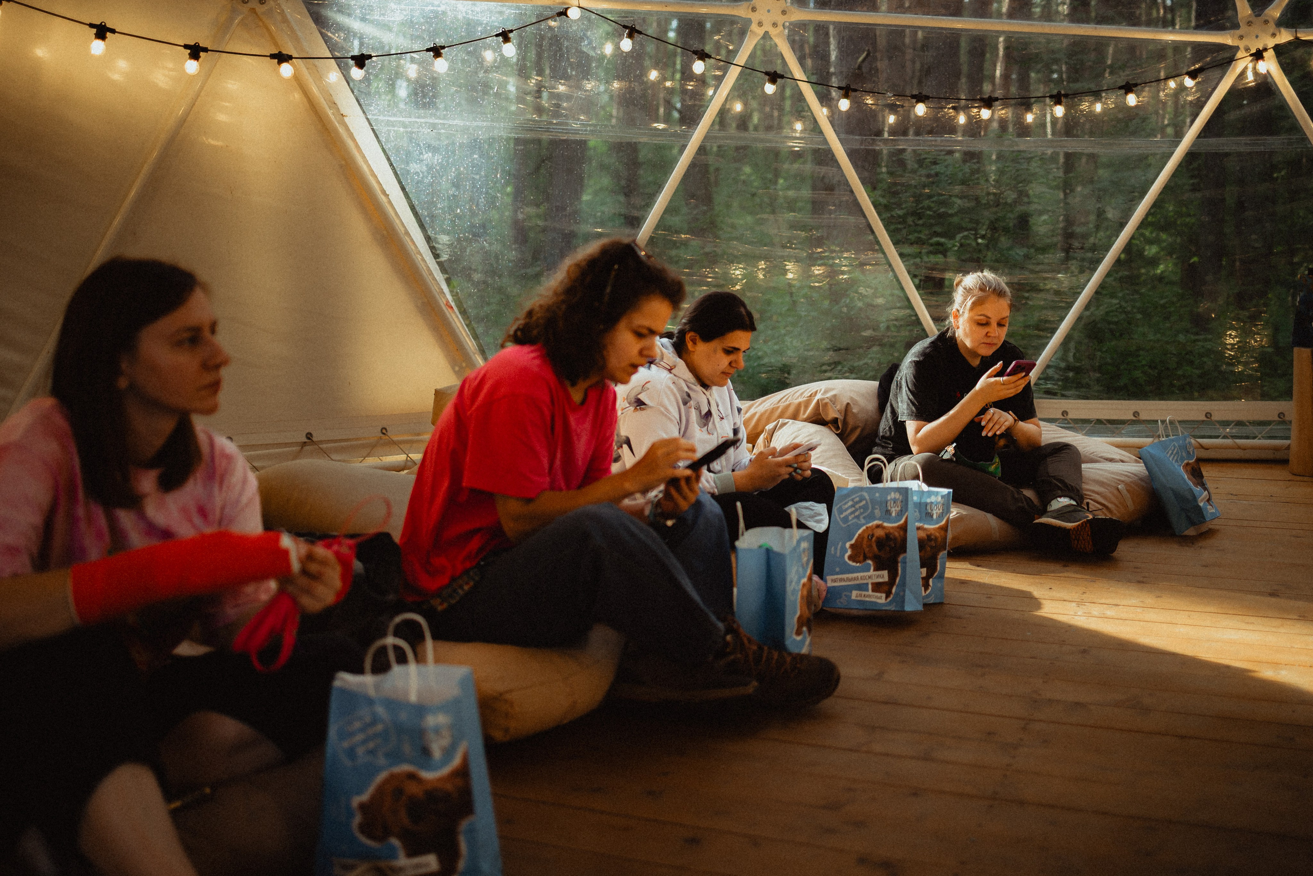 Выездной дог-тренинг от школы «Шерсть имею»