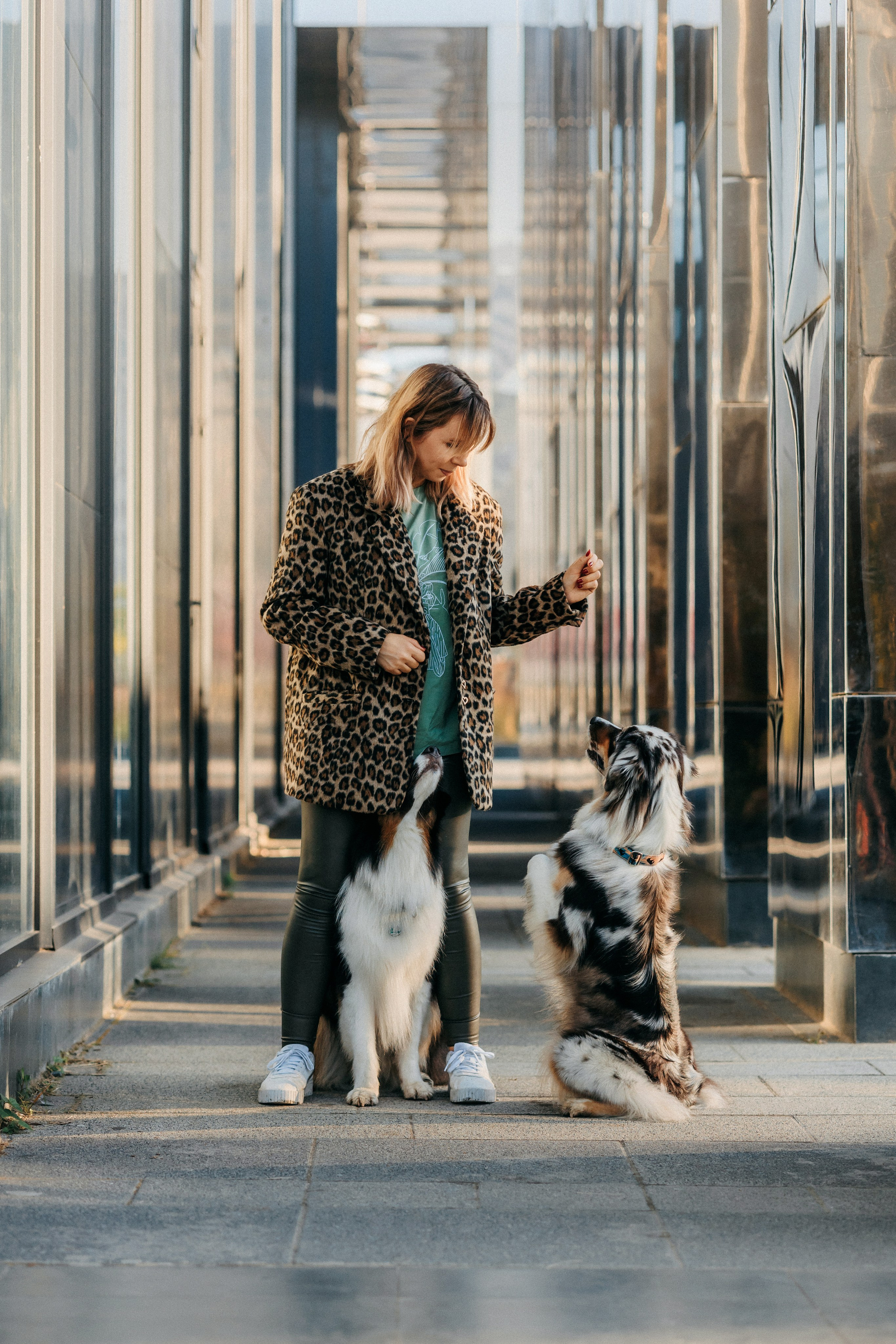Аня, Чарли и Ева. Фотограф-анималист Елена Радченко, Москва
