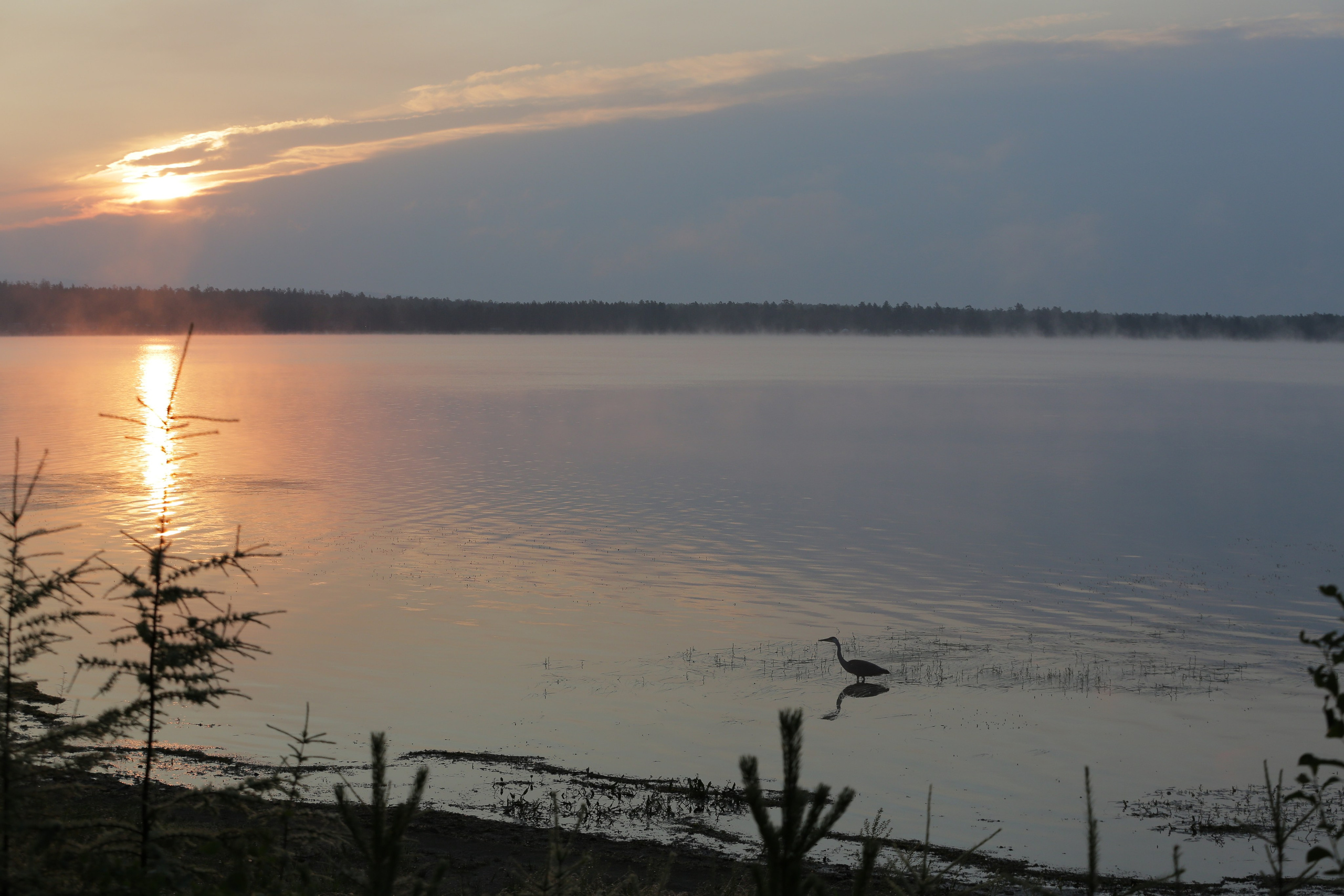 Фото Природы Забайкалья. Студия Максима Белослюдцева