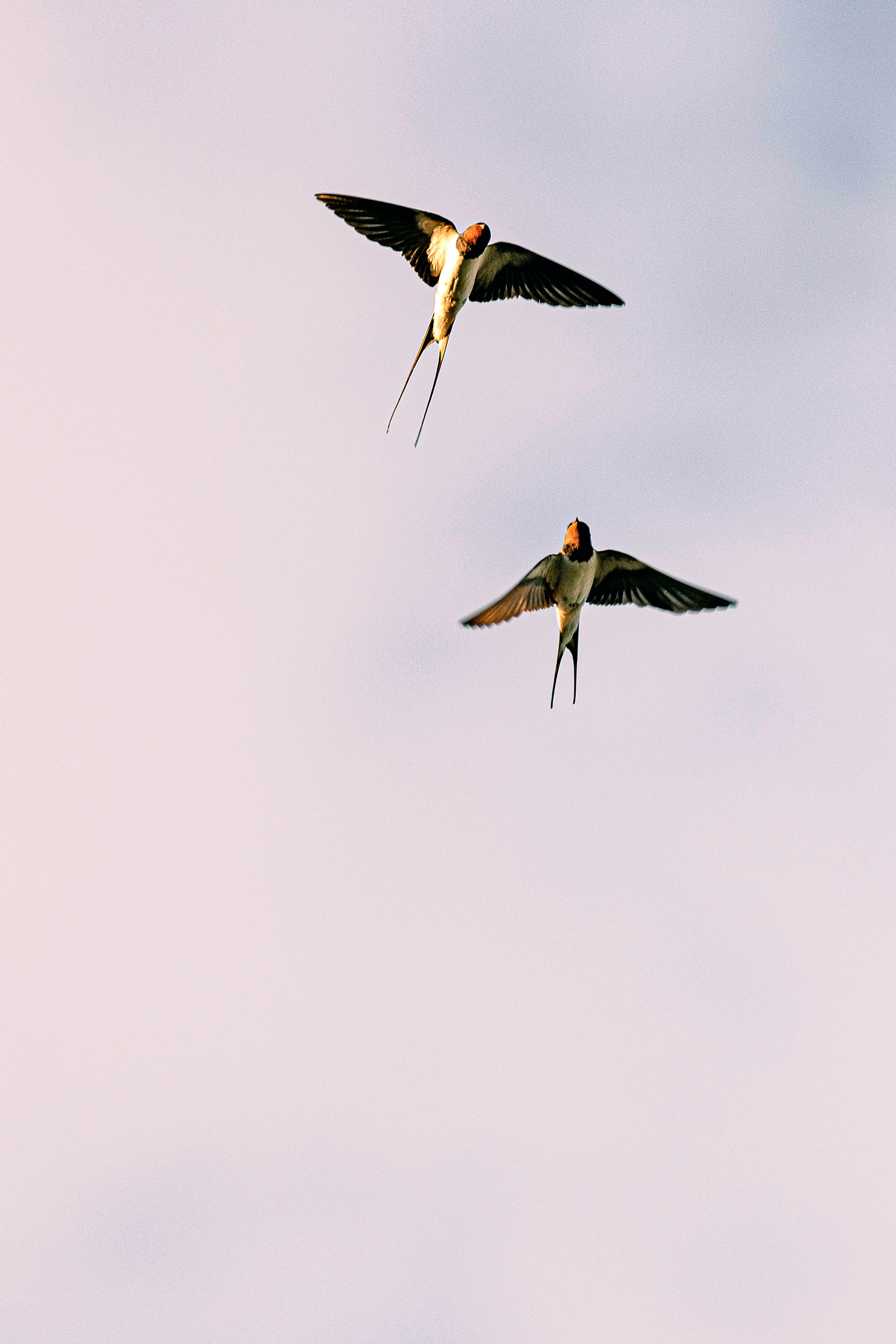 Цветные фотографии. Фотографии Лены Соколовой