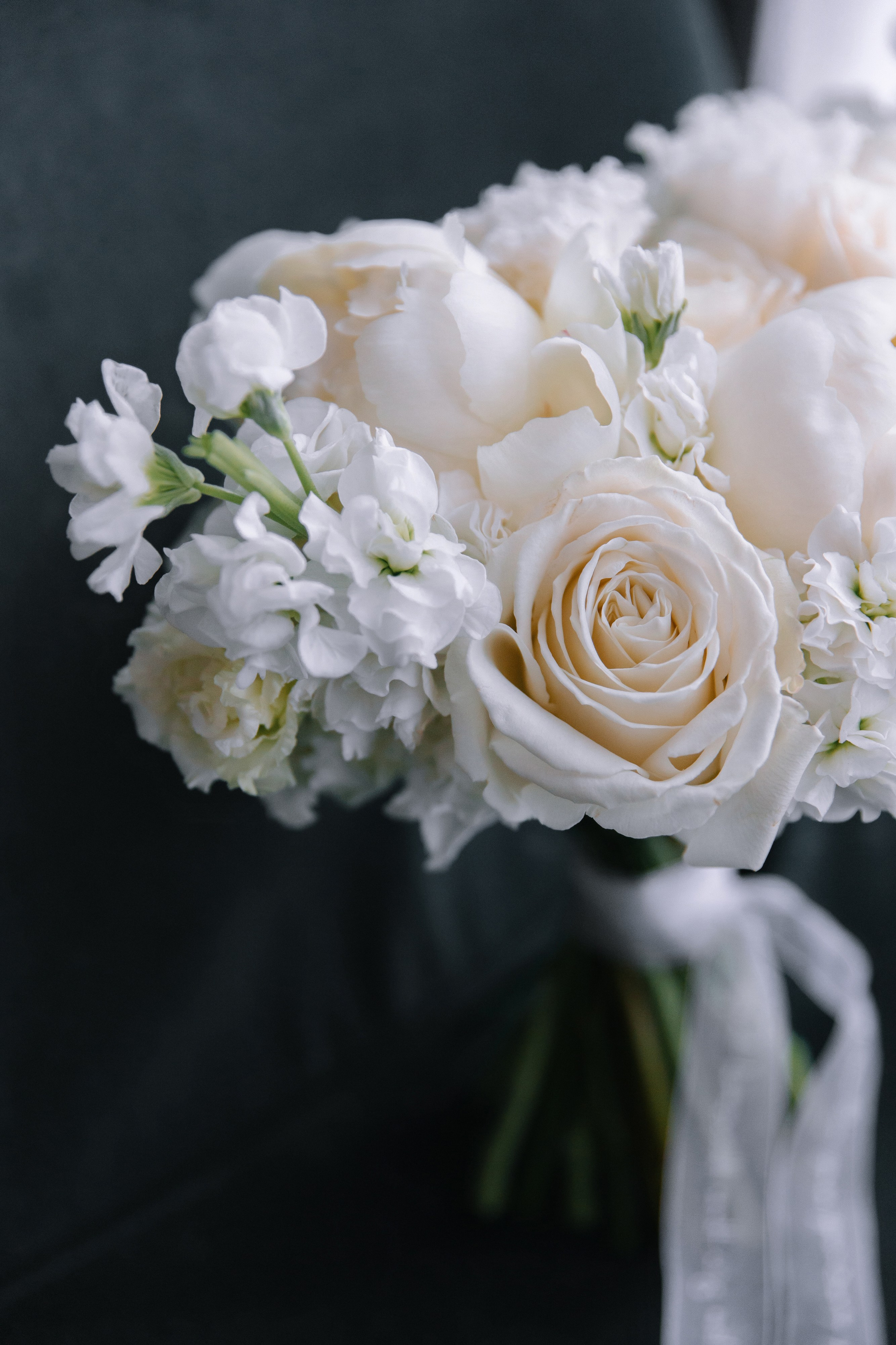 Фотограф Елена Краснопевцева