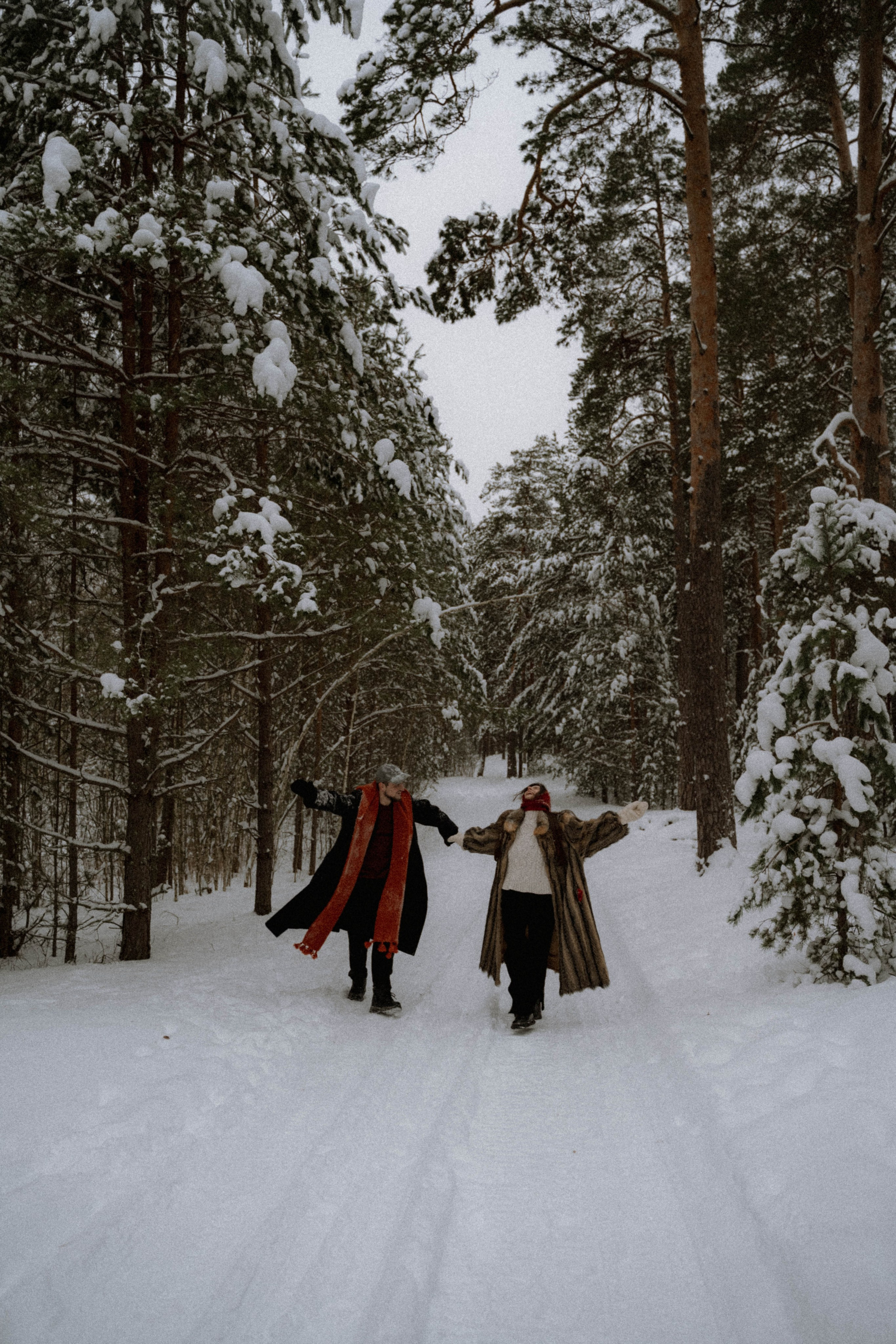 Очень зимние дела. Главная