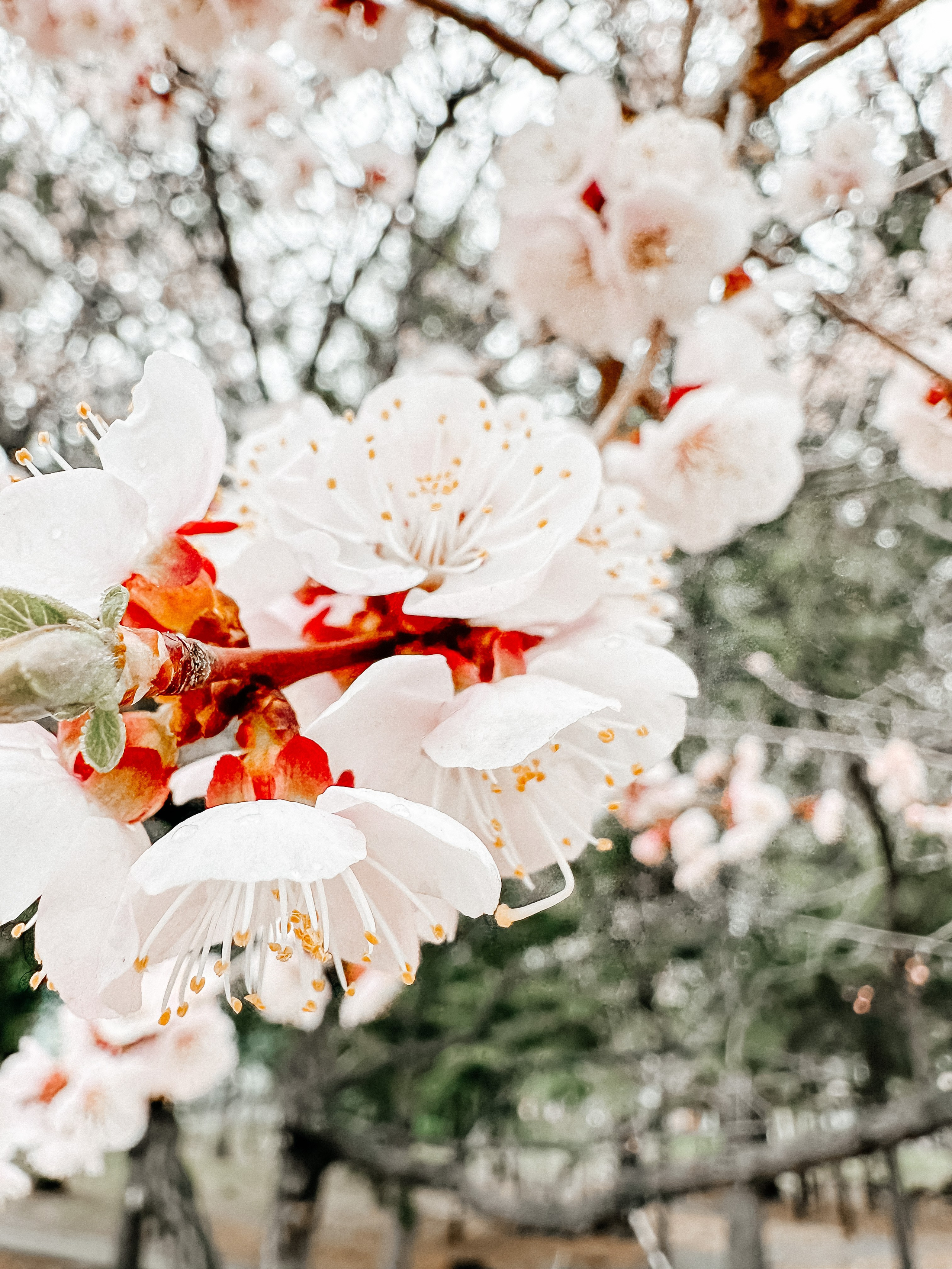 Природа. Команда фотографов Кристины Ивановой