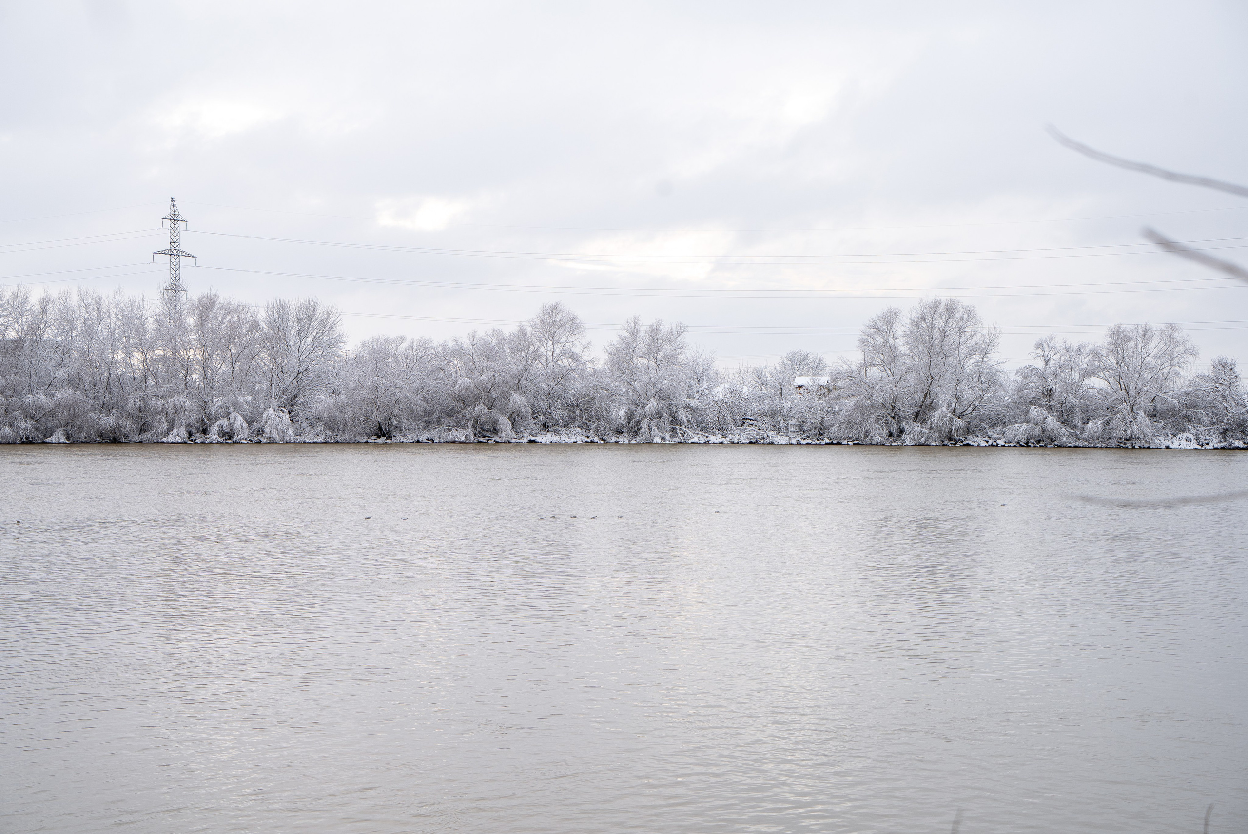 Зима 2024. Свадебный и семейный фотограф/видеограф в Краснодаре Наталья Осинская