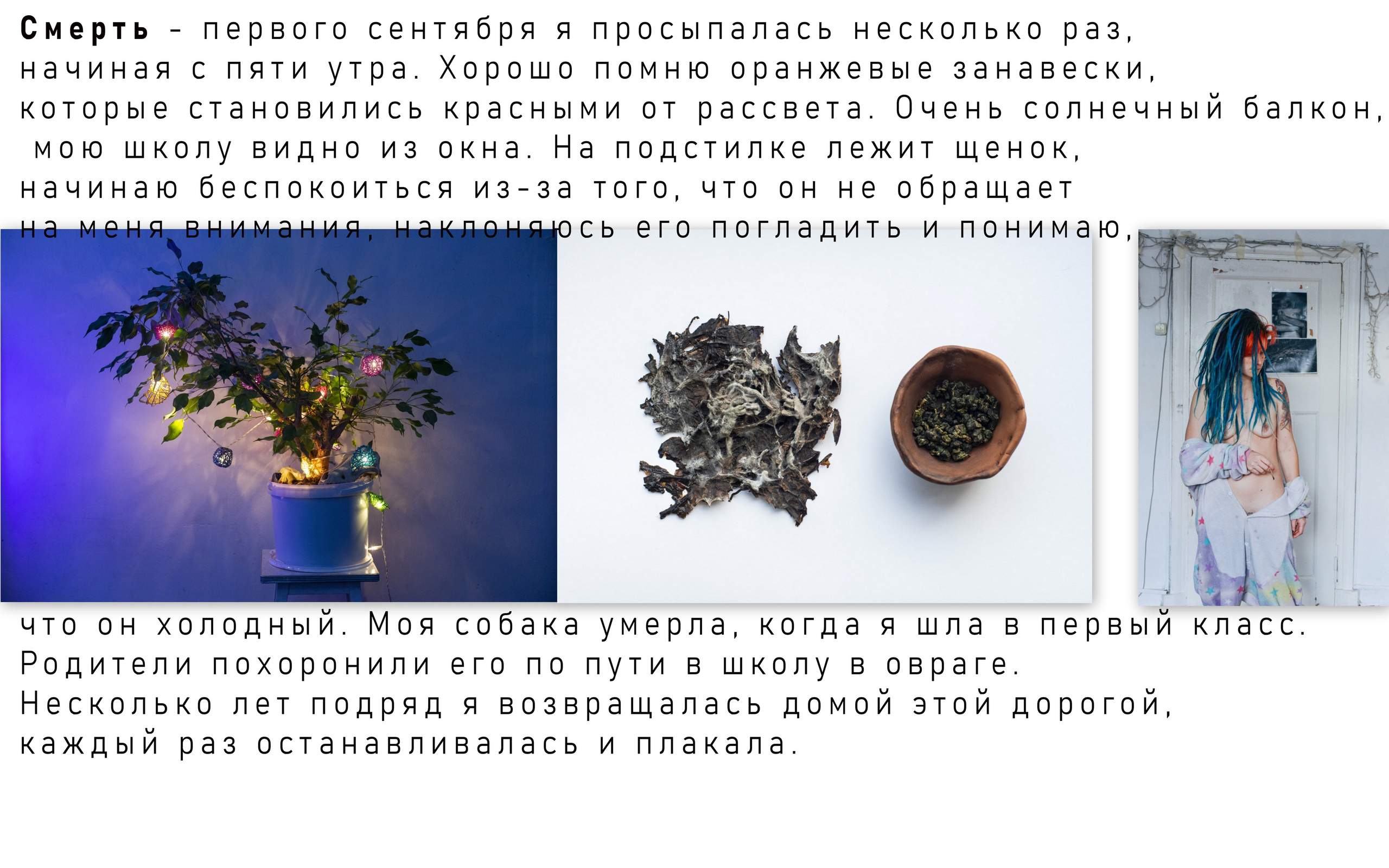 Персональная выставка Алисы Чемодановой ''Скрип свай'' c 7.09 по 7.10