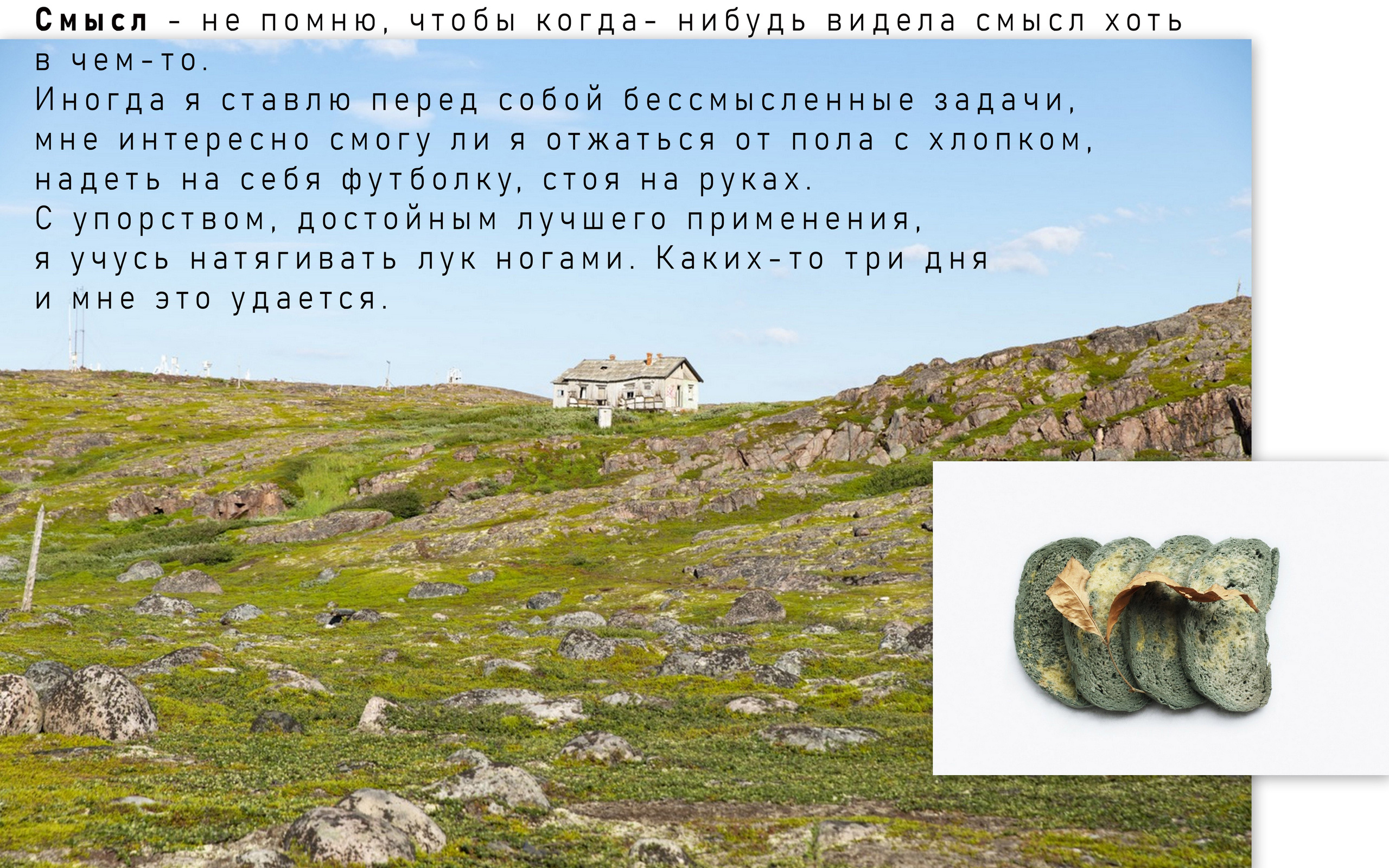 Персональная выставка Алисы Чемодановой ''Скрип свай'' c 7.09 по 7.10