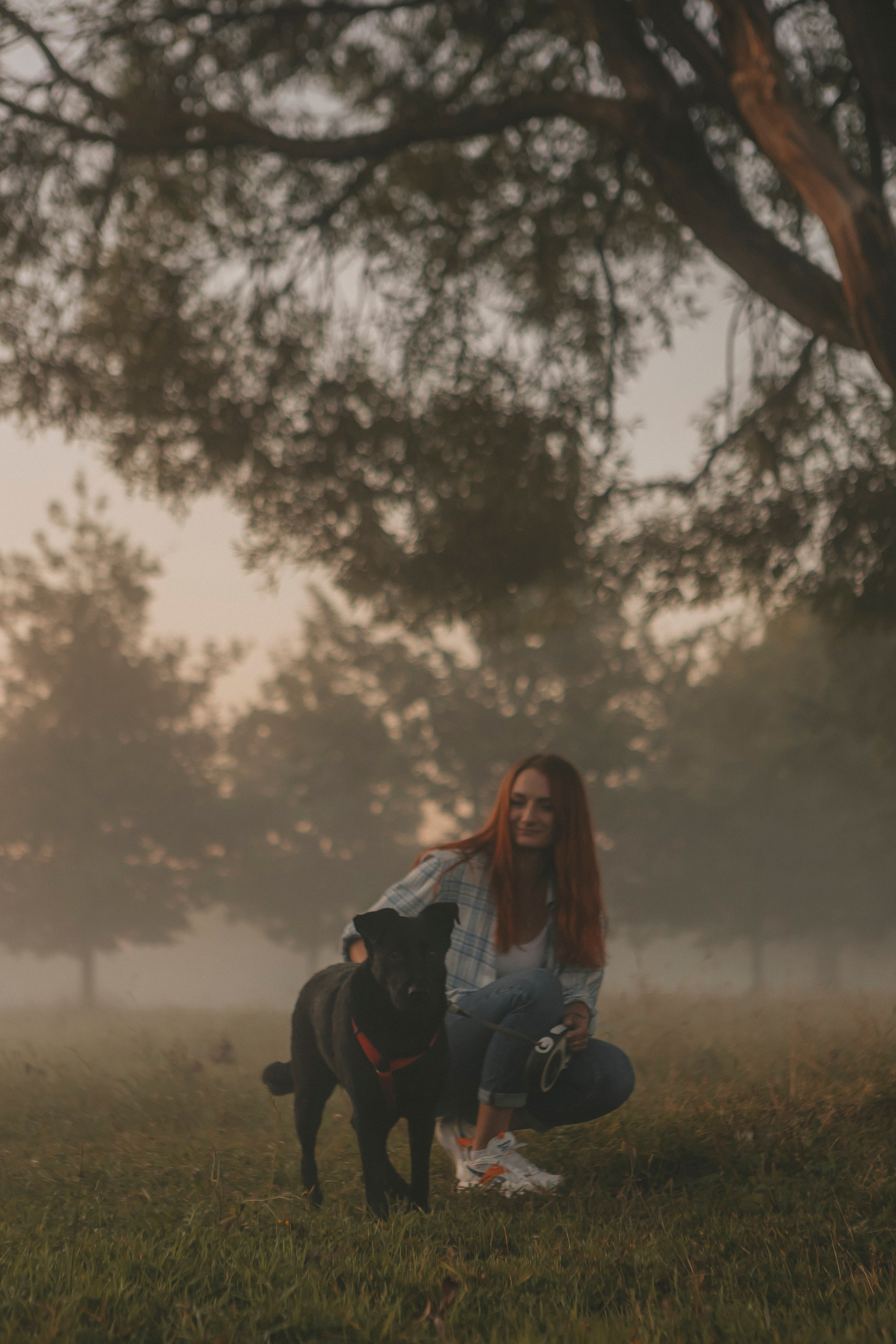 Саша и Дана. Фотограф-анималист в Санкт-Петербурге Алина Яхонт