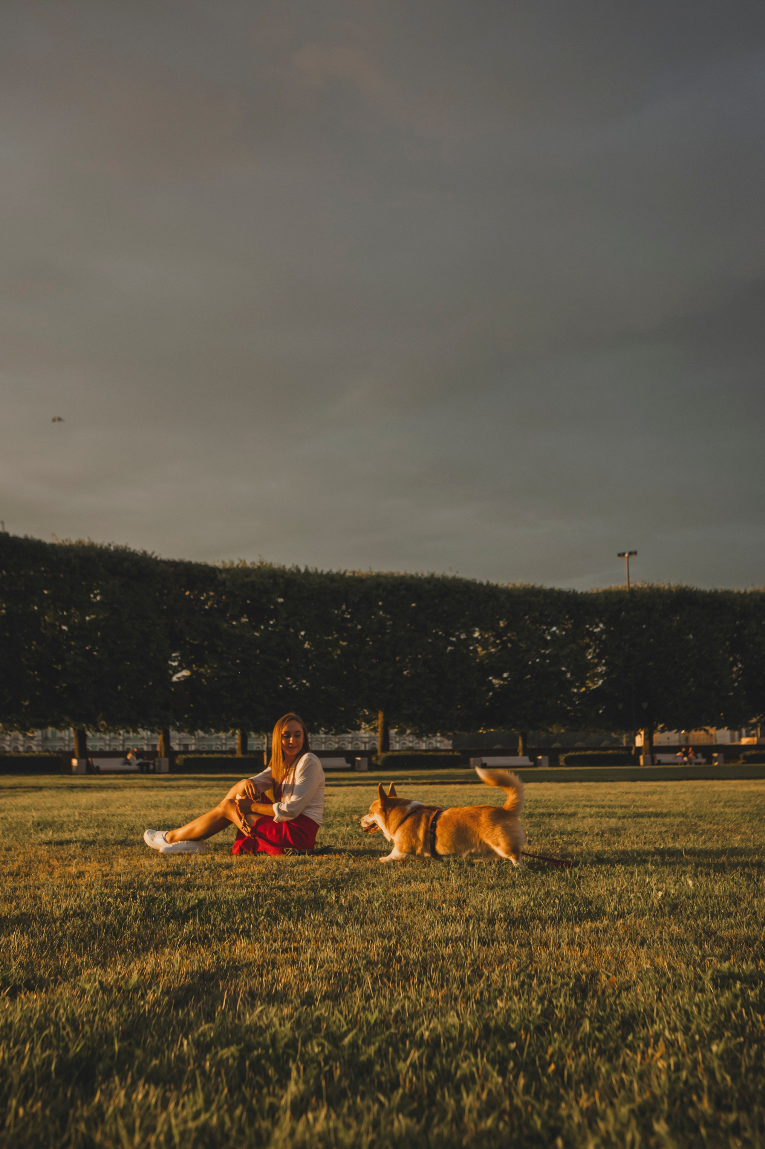 Настя и Стёпа. Фотограф-анималист в Санкт-Петербурге Алина Яхонт