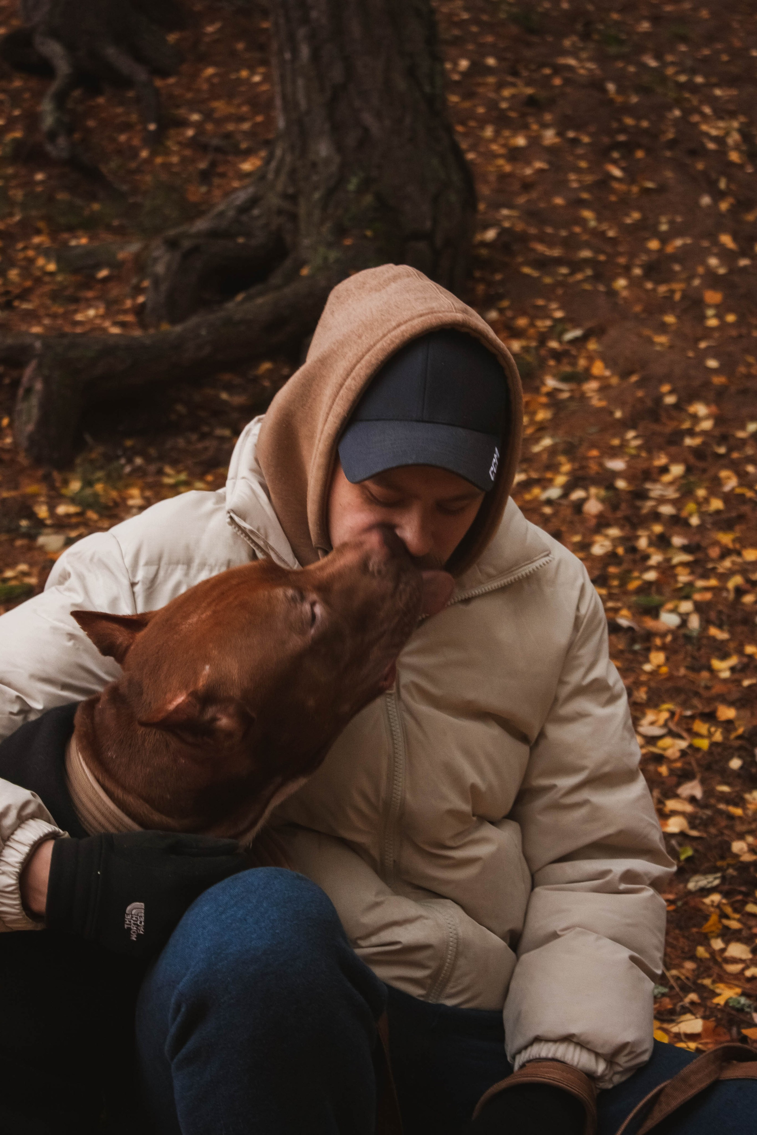 Айрон и Егор. Фотограф-анималист в Санкт-Петербурге Алина Яхонт