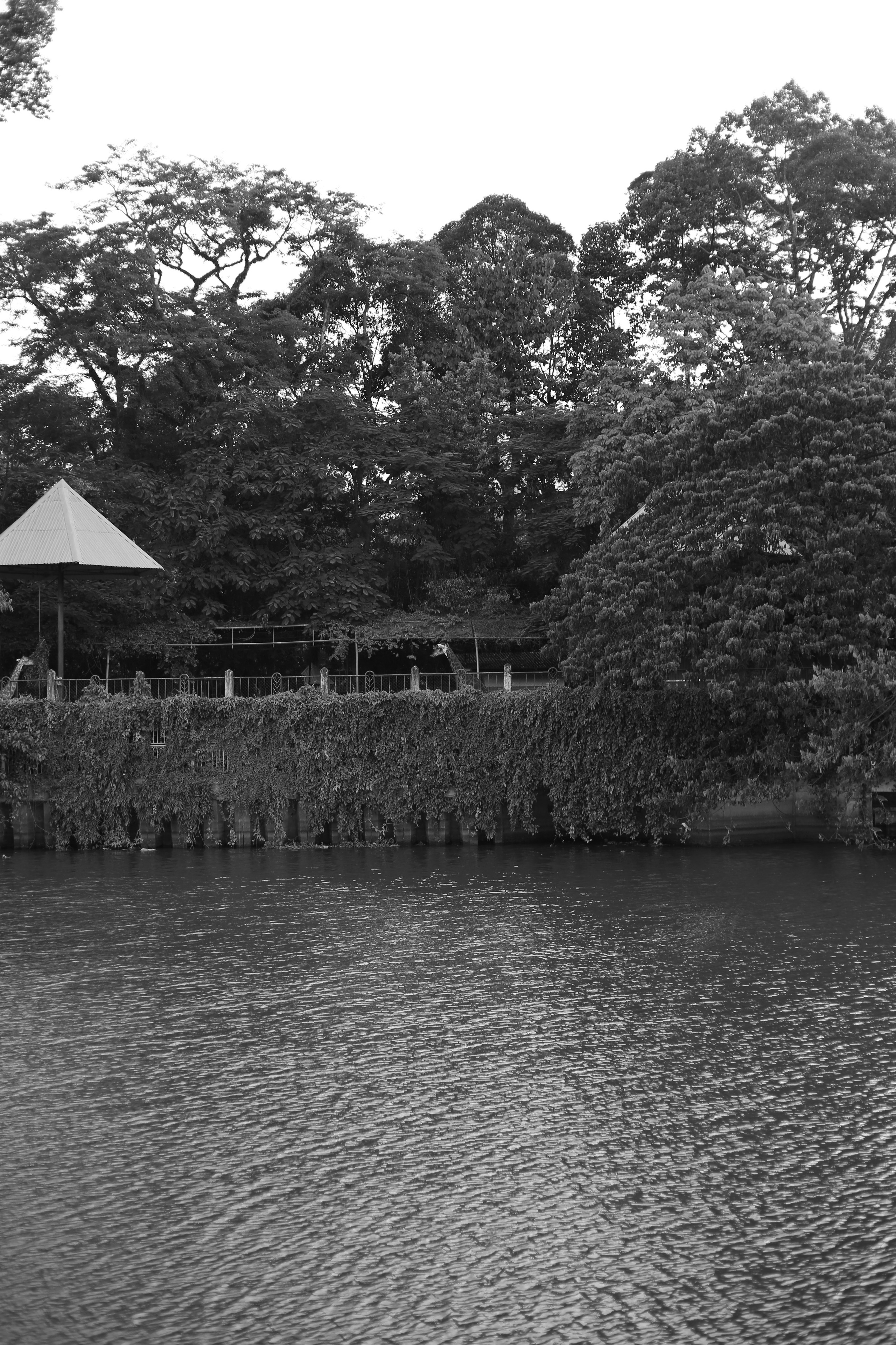 Ho Chi Minh, Vietnam | Part 2| 2025. Art Photographer