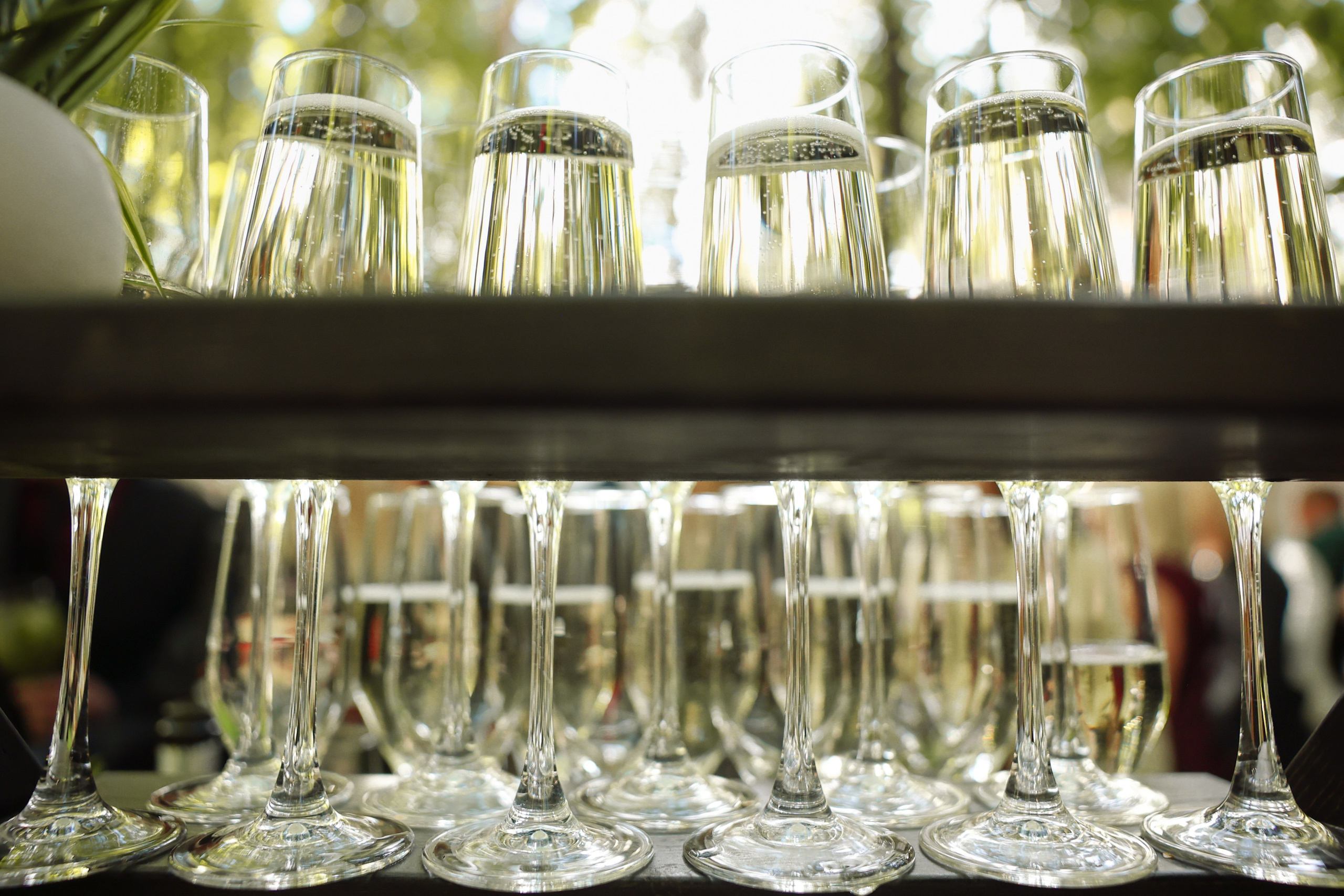 Lesnoi-bereg. Главная