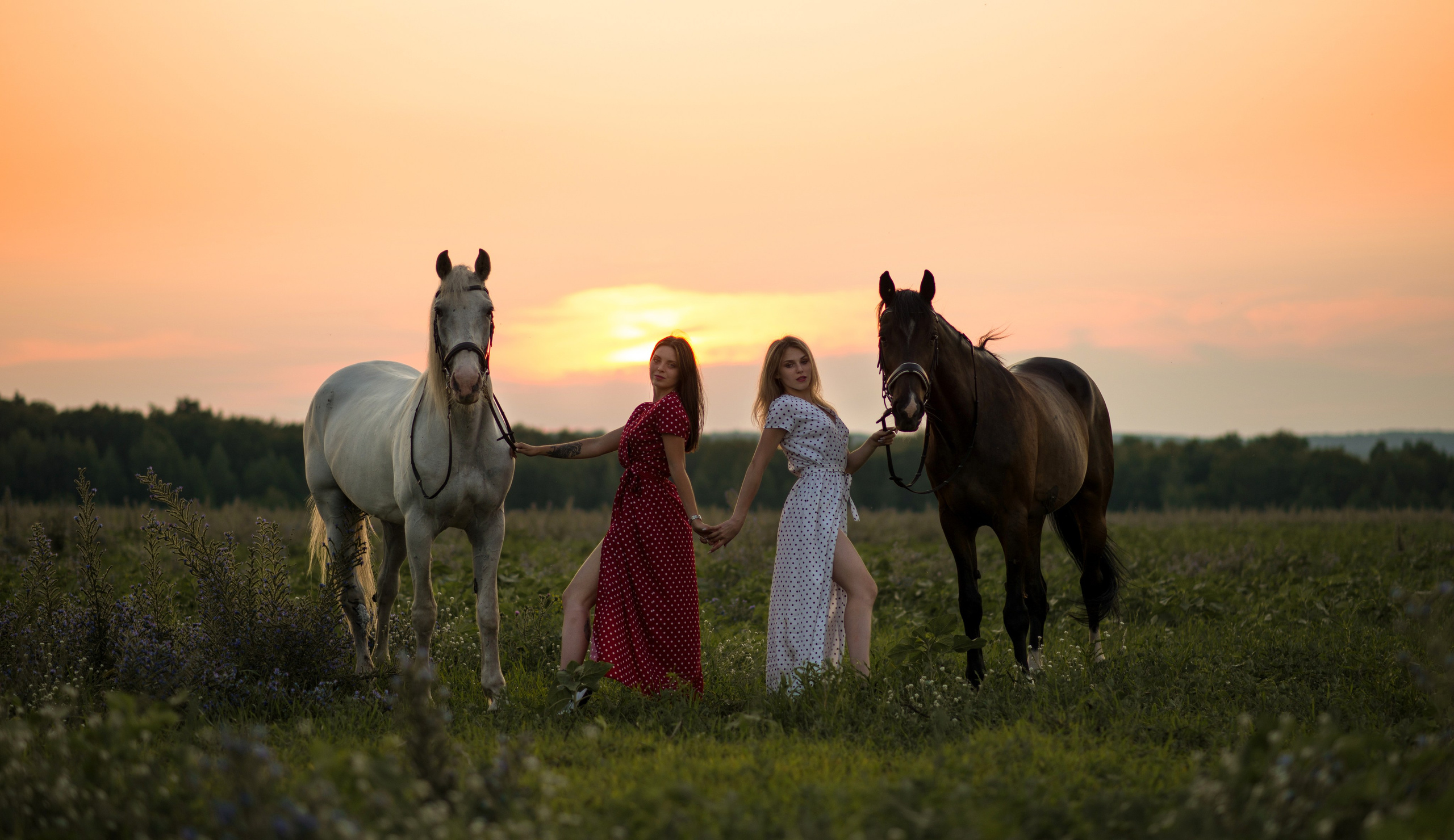Девушки, Каспиец и Багрец. Конный фотограф в Саратове Юлия Иванова